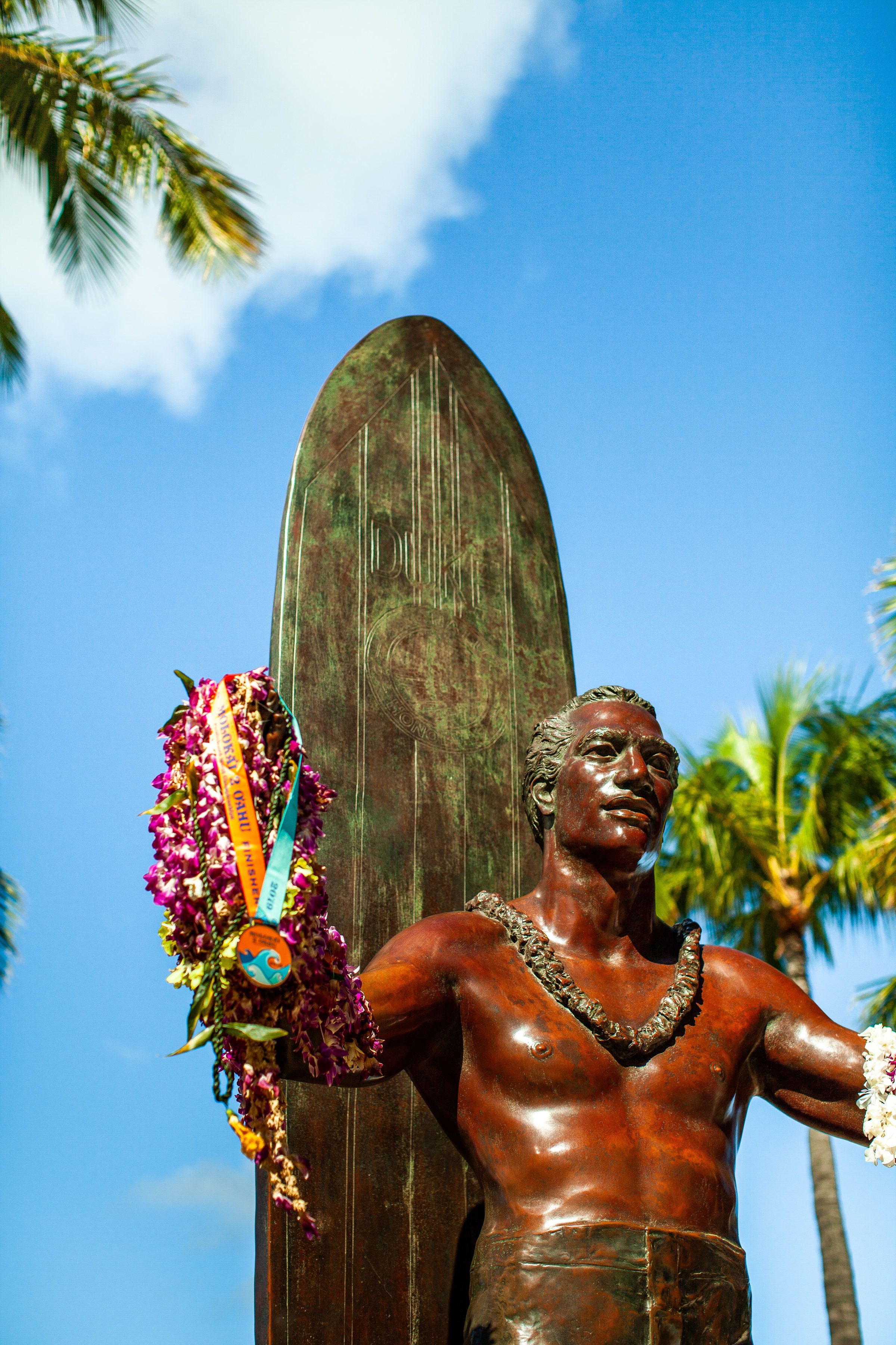 Vive Waikiki Vive Waikiki
