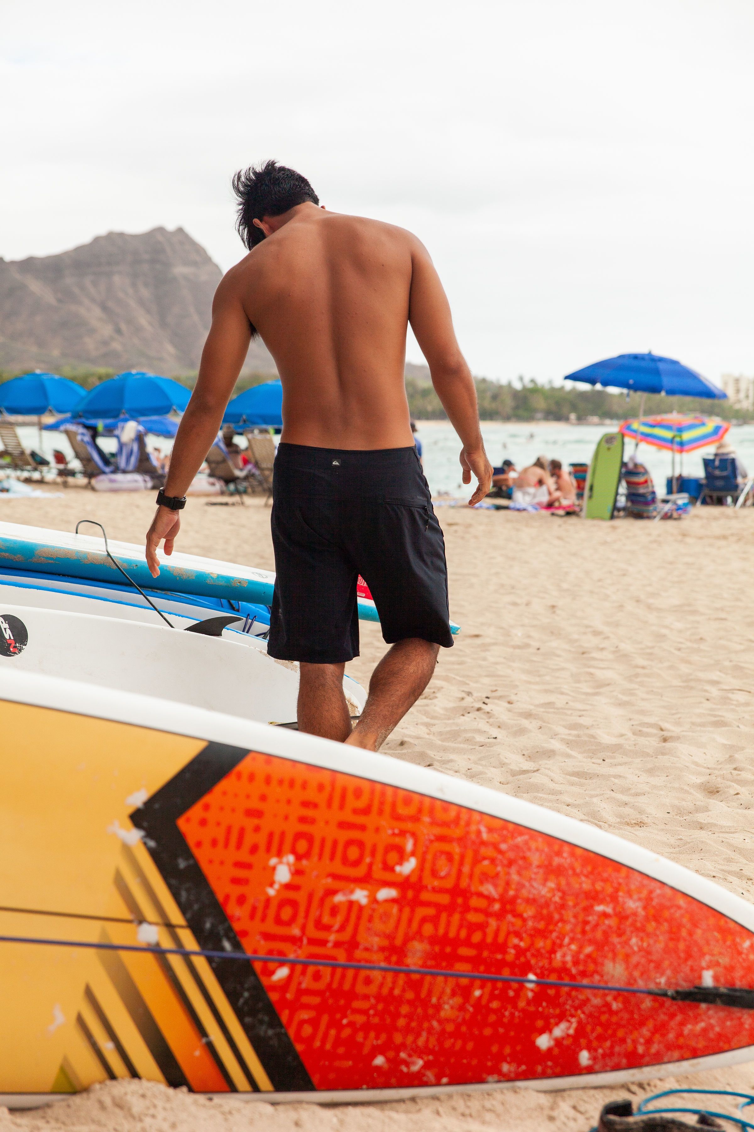 Vive Waikiki Vive Waikiki