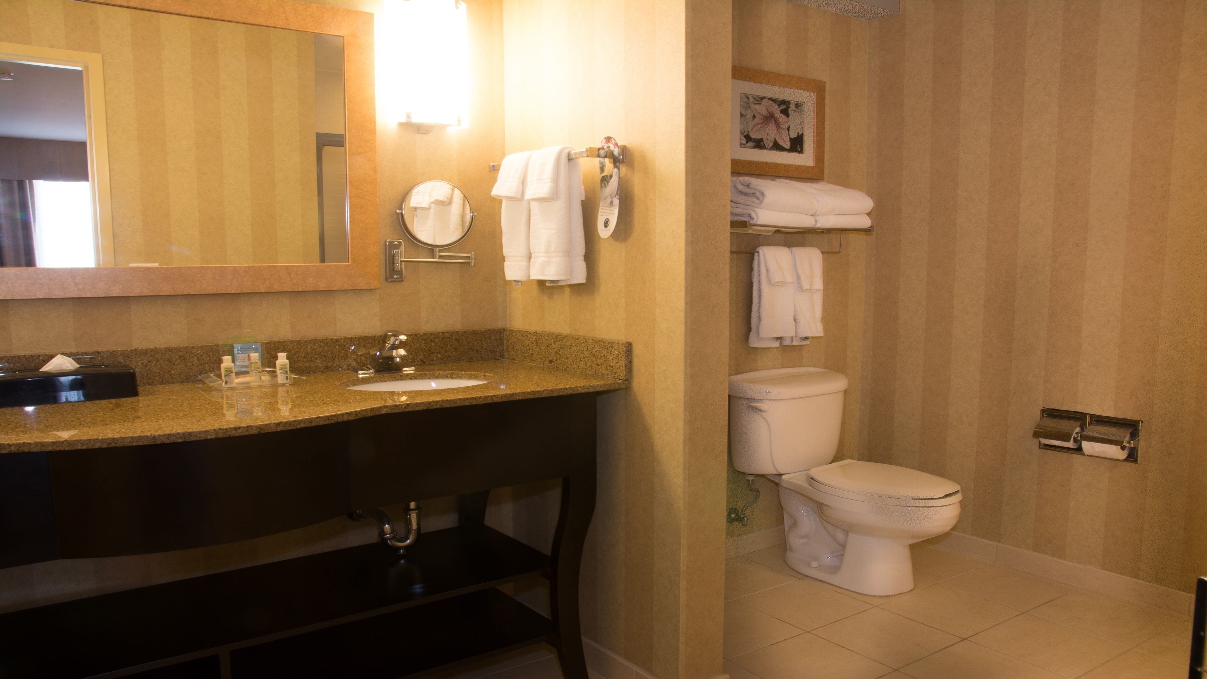 Holiday Inn St. Louis-Fairview Heights Holiday Inn St. Louis-Fairview Heights