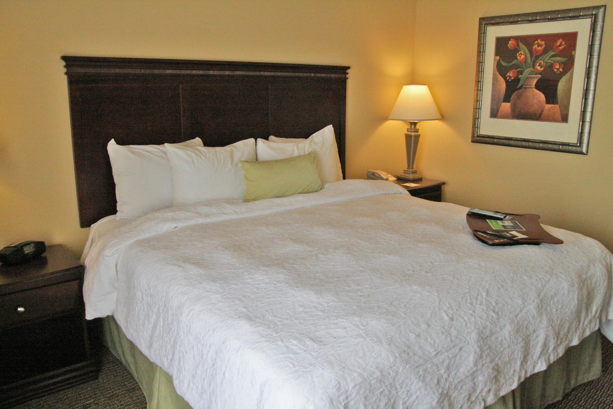 Hampton Inn Indianapolis Northwest - Park 100 Hampton Inn Indianapolis Northwest - Park 100