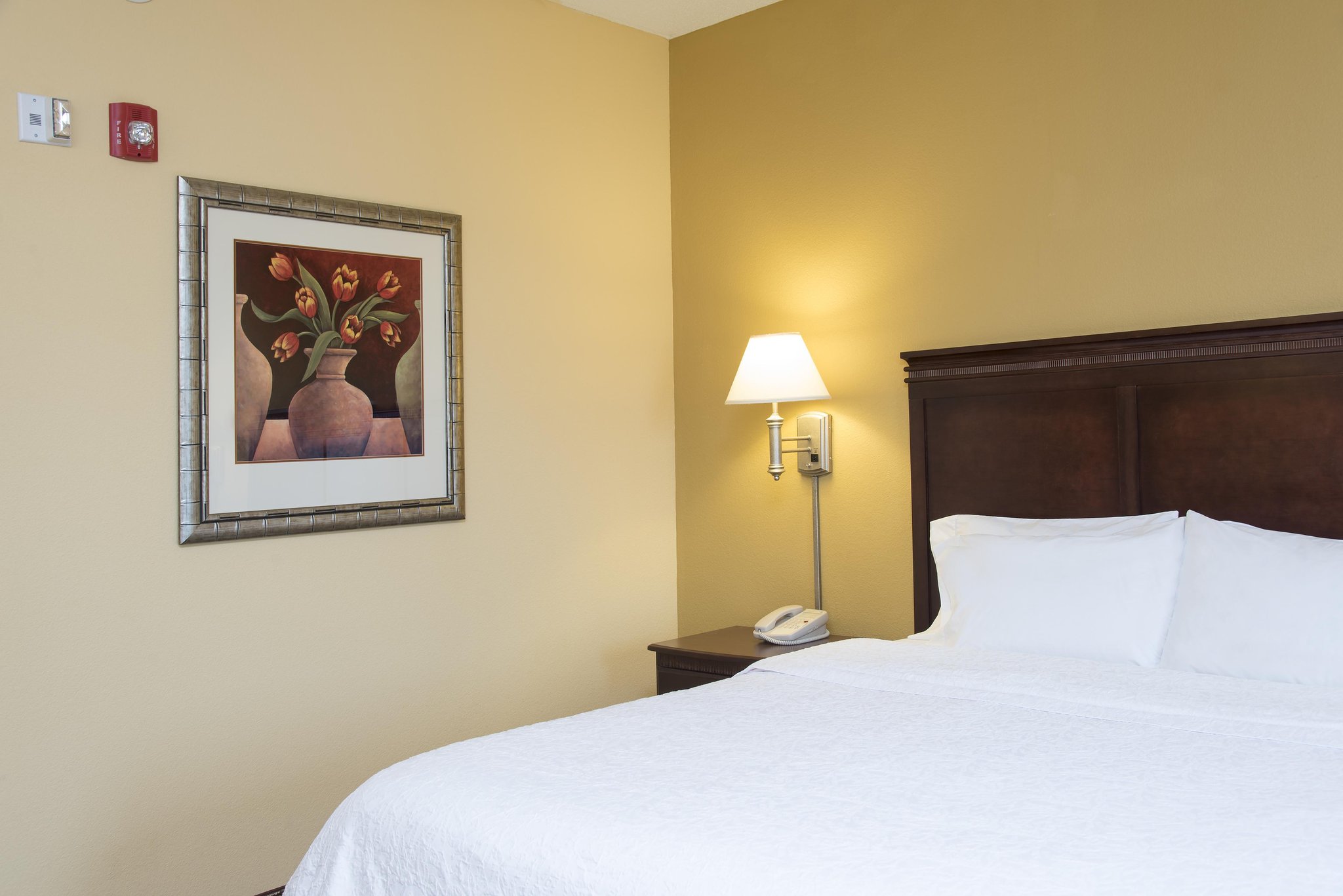 Hampton Inn Indianapolis Northwest - Park 100 Hampton Inn Indianapolis Northwest - Park 100