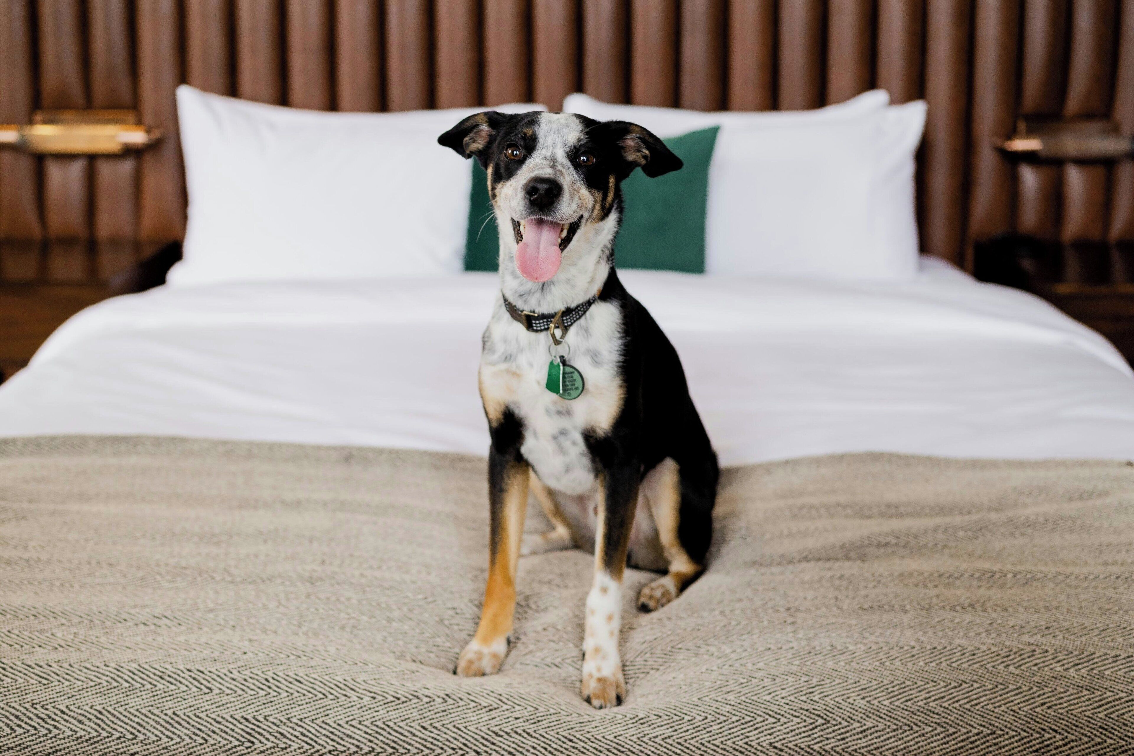 Surety Hotel, Autograph Collection Surety Hotel, Autograph Collection