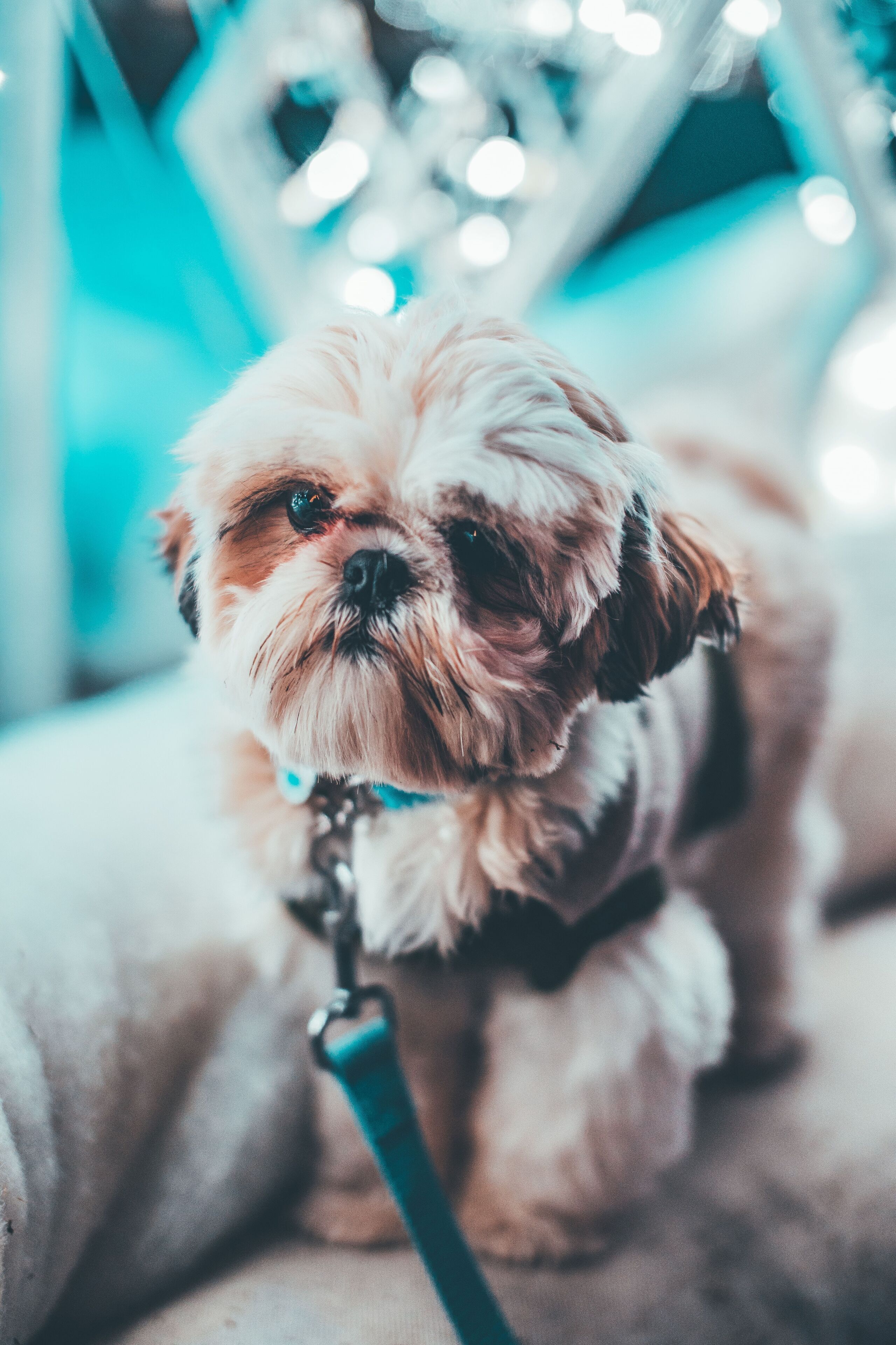 Surety Hotel, Autograph Collection Surety Hotel, Autograph Collection