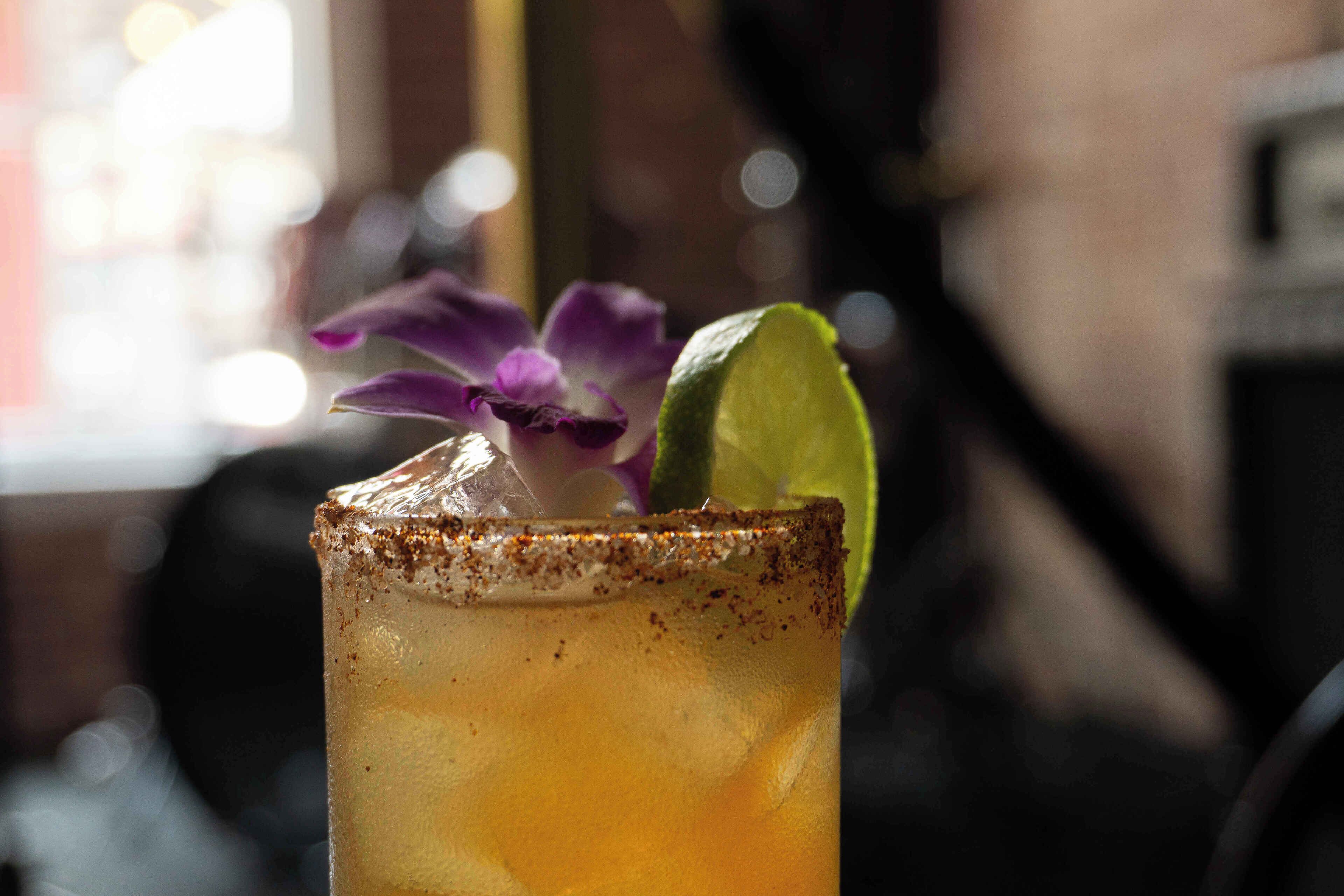 Bourbon Orleans Bourbon Orleans