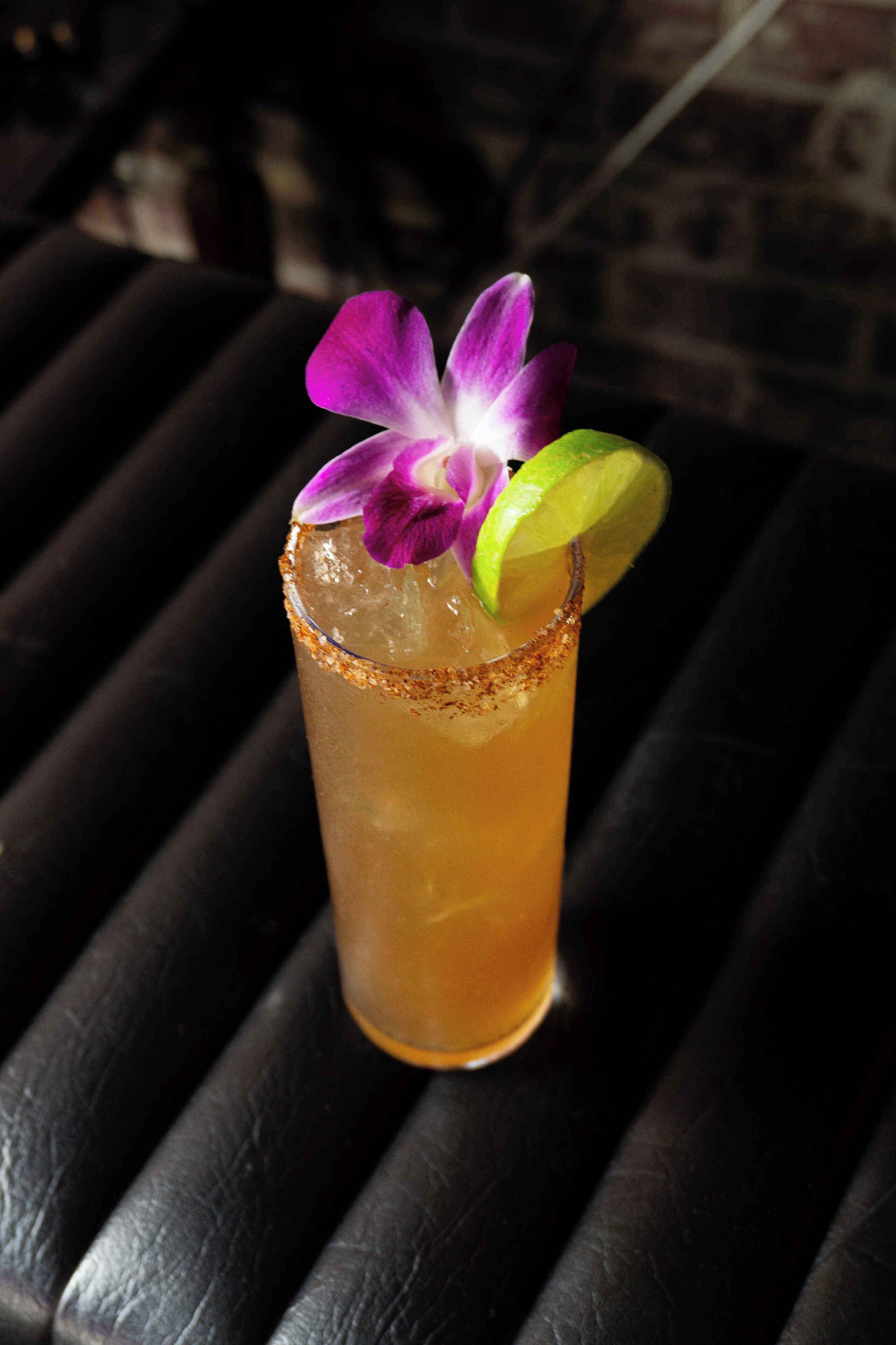 Bourbon Orleans Bourbon Orleans
