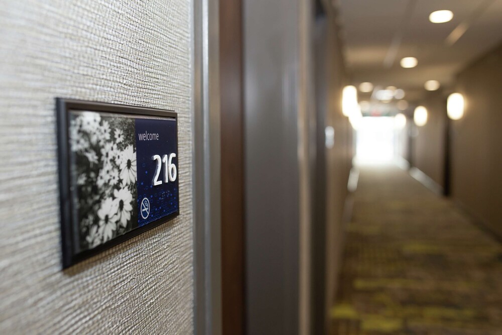 Hampton Inn & Suites Dundee Hampton Inn & Suites Dundee