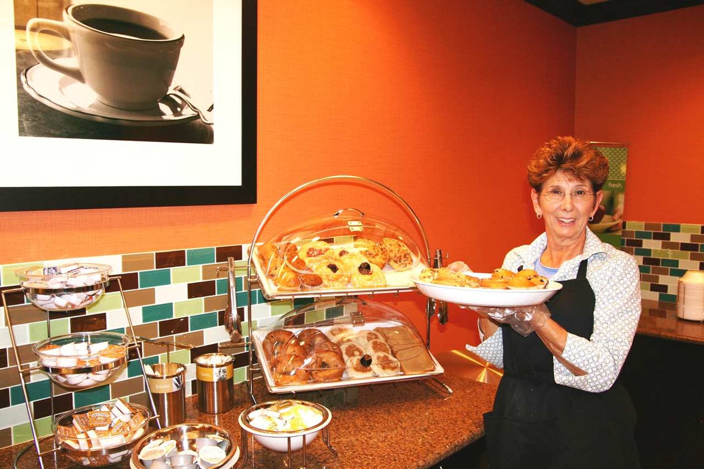 Hampton Inn and Suites Flint/Grand Blanc Hampton Inn and Suites Flint/Grand Blanc