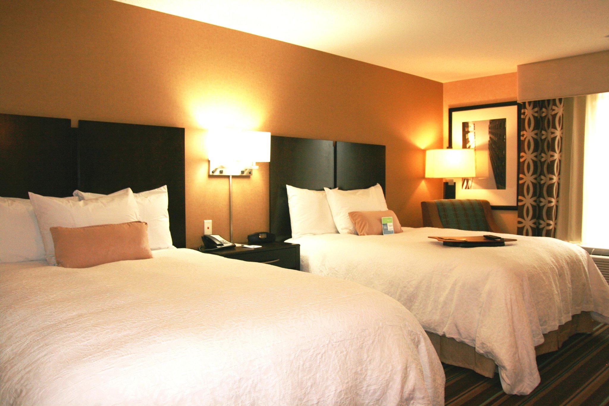 Hampton Inn and Suites Flint/Grand Blanc Hampton Inn and Suites Flint/Grand Blanc