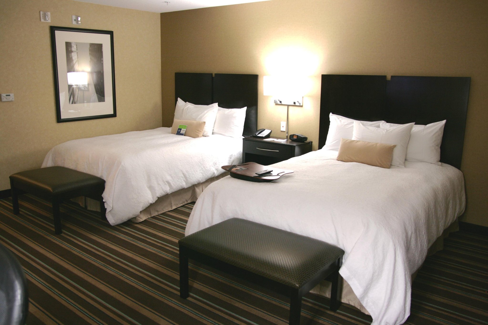 Hampton Inn and Suites Flint/Grand Blanc Hampton Inn and Suites Flint/Grand Blanc