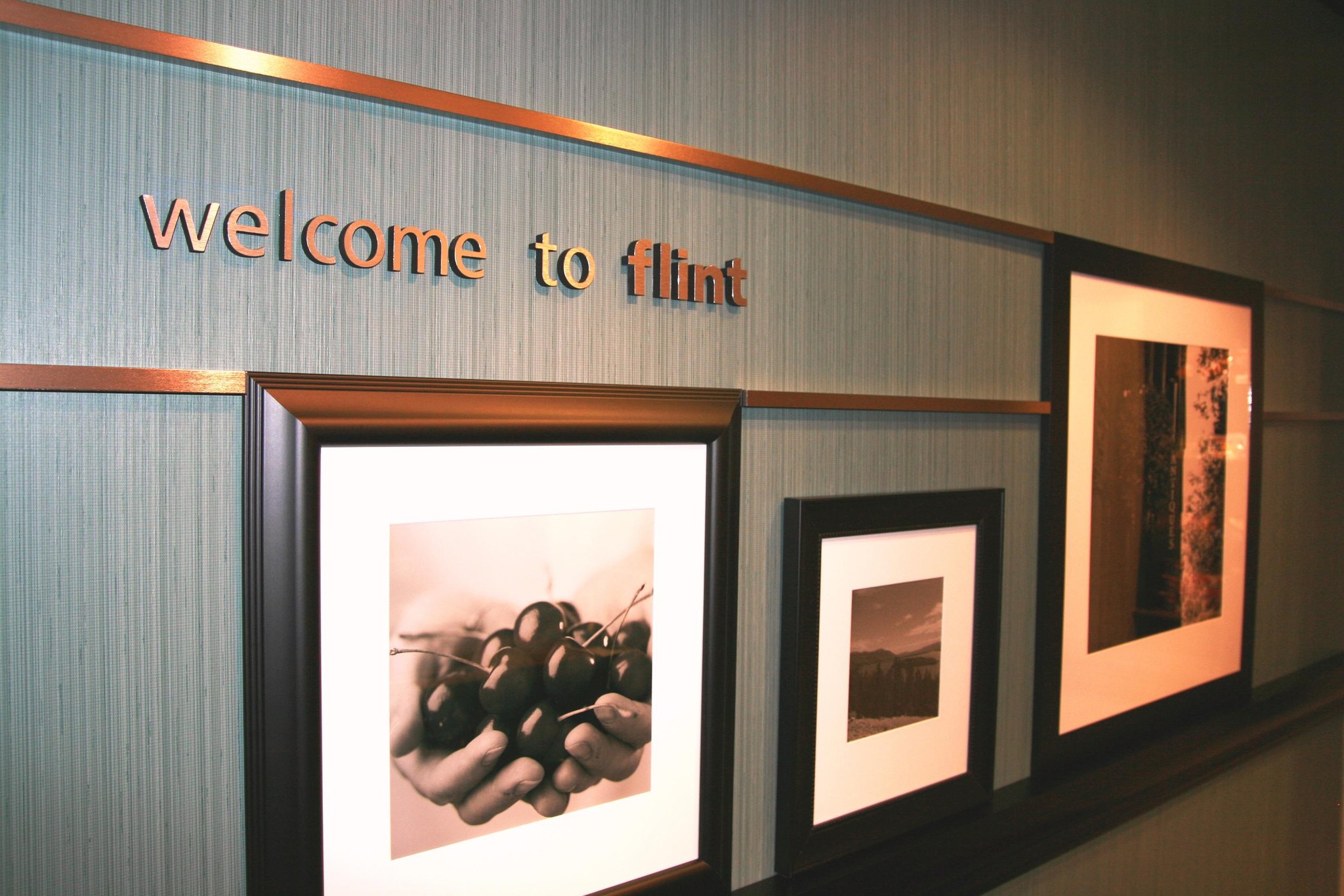 Hampton Inn and Suites Flint/Grand Blanc Hampton Inn and Suites Flint/Grand Blanc