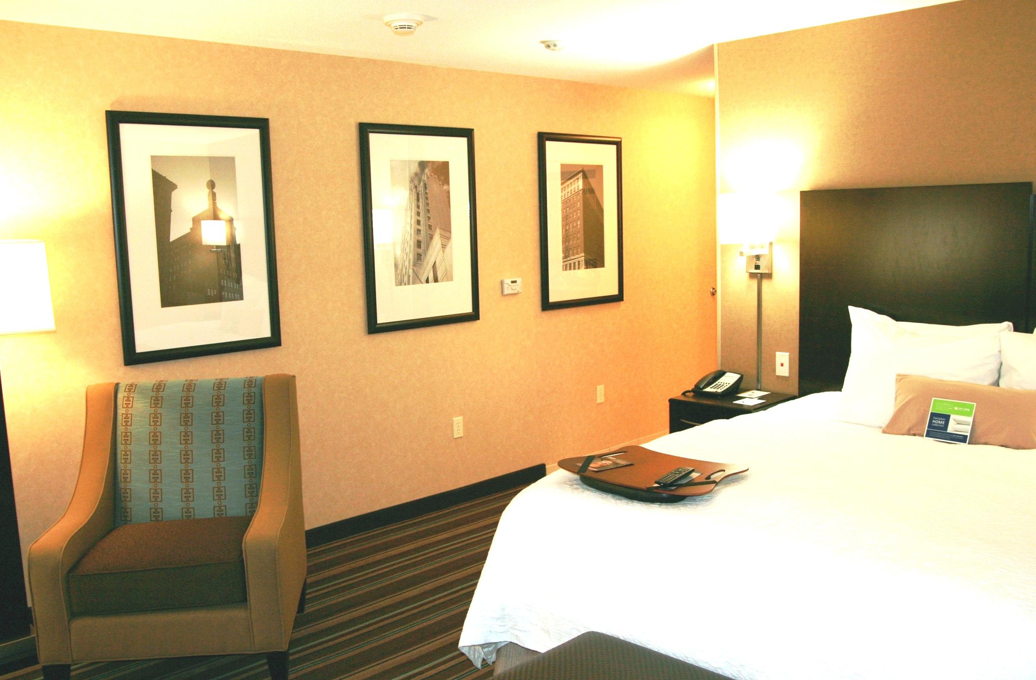 Hampton Inn and Suites Flint/Grand Blanc Hampton Inn and Suites Flint/Grand Blanc