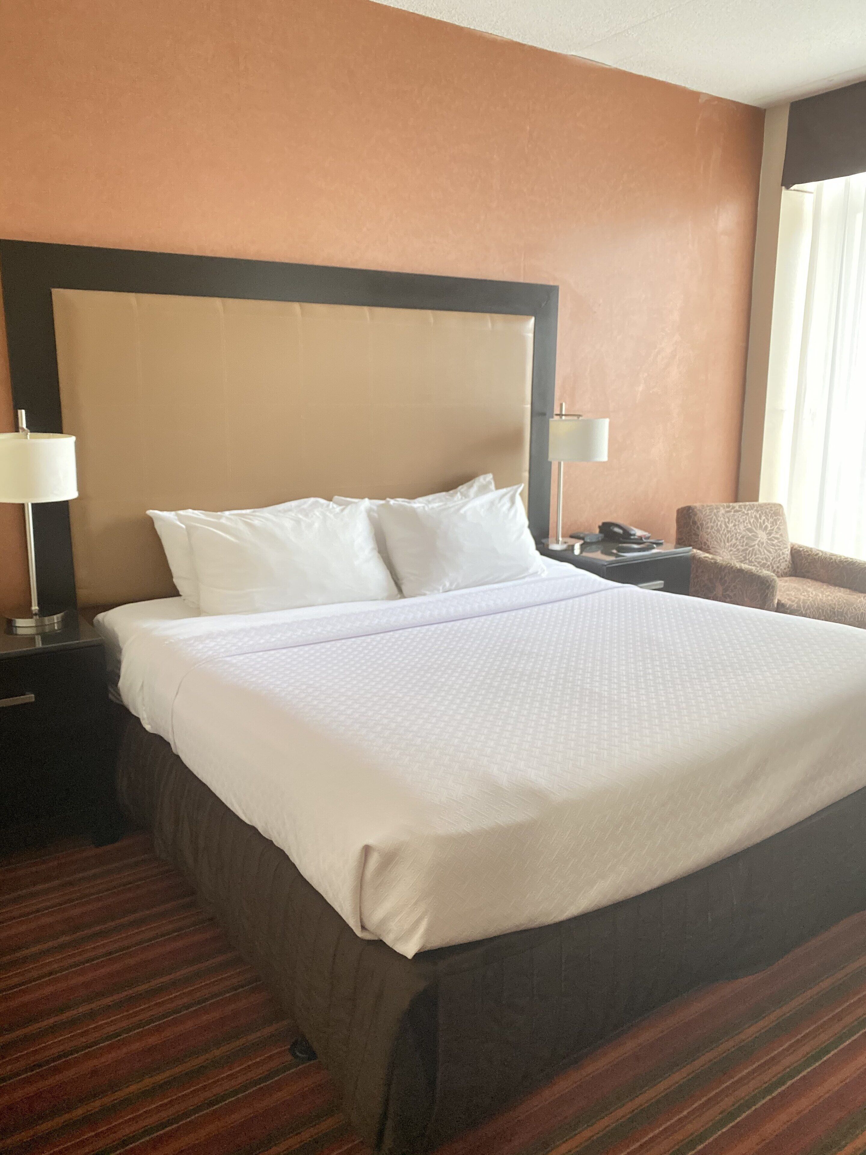 Sheraton Grand Rapids Airport Hotel Sheraton Grand Rapids Airport Hotel