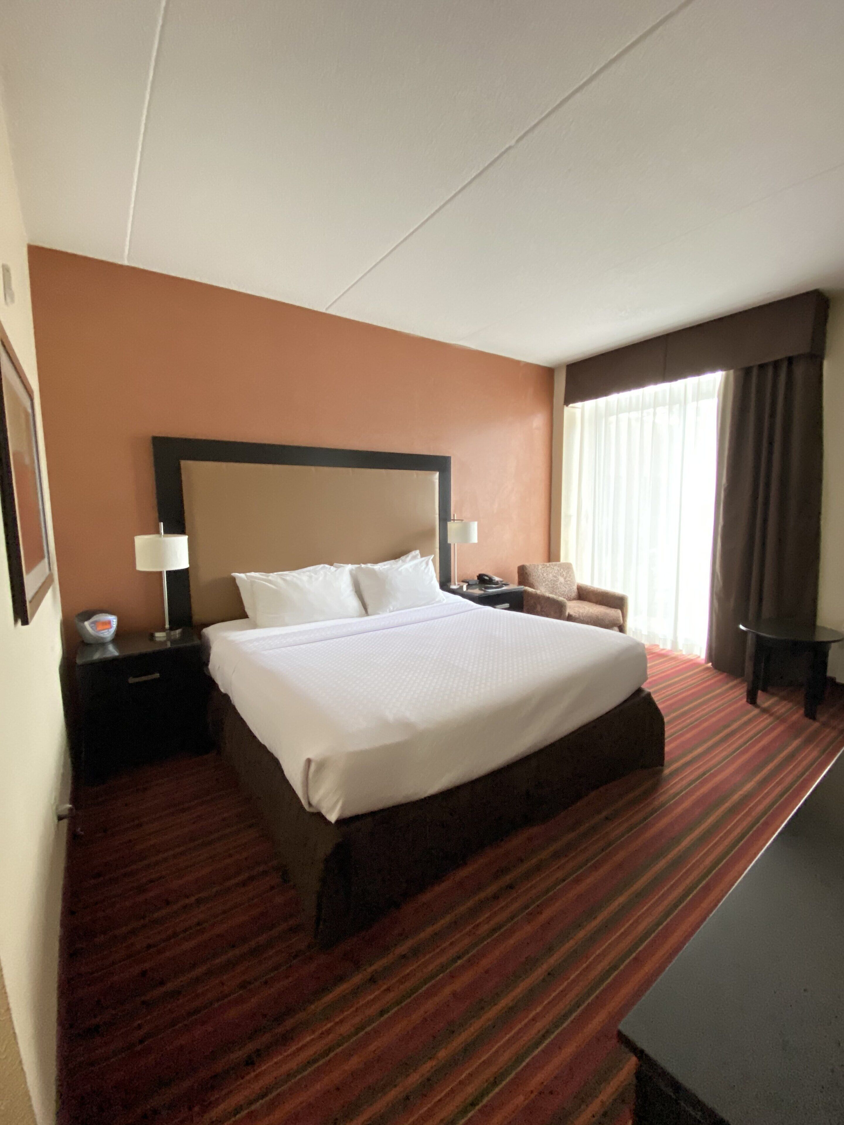 Sheraton Grand Rapids Airport Hotel Sheraton Grand Rapids Airport Hotel