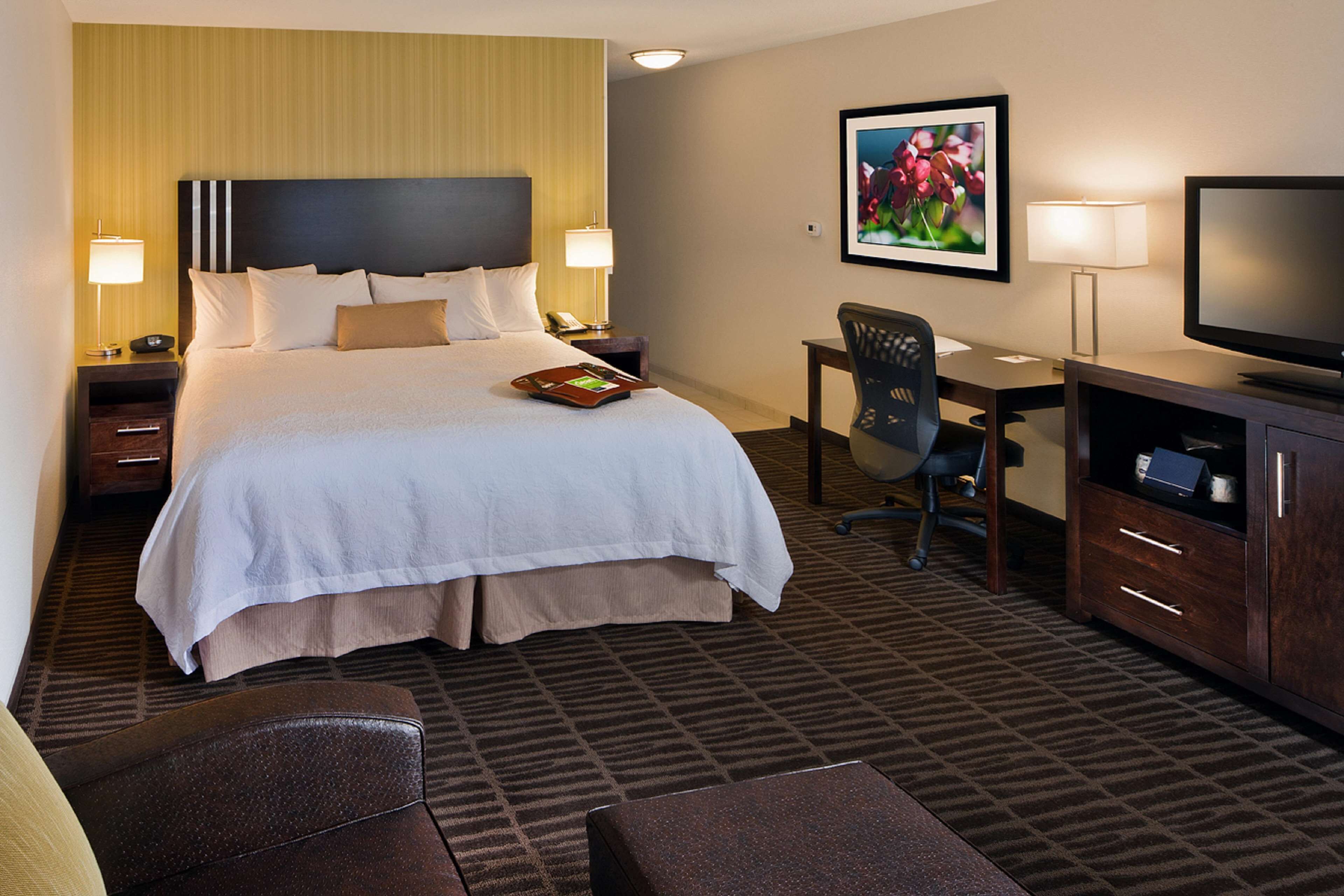 Hampton Inn & Suites Saginaw Hampton Inn & Suites Saginaw
