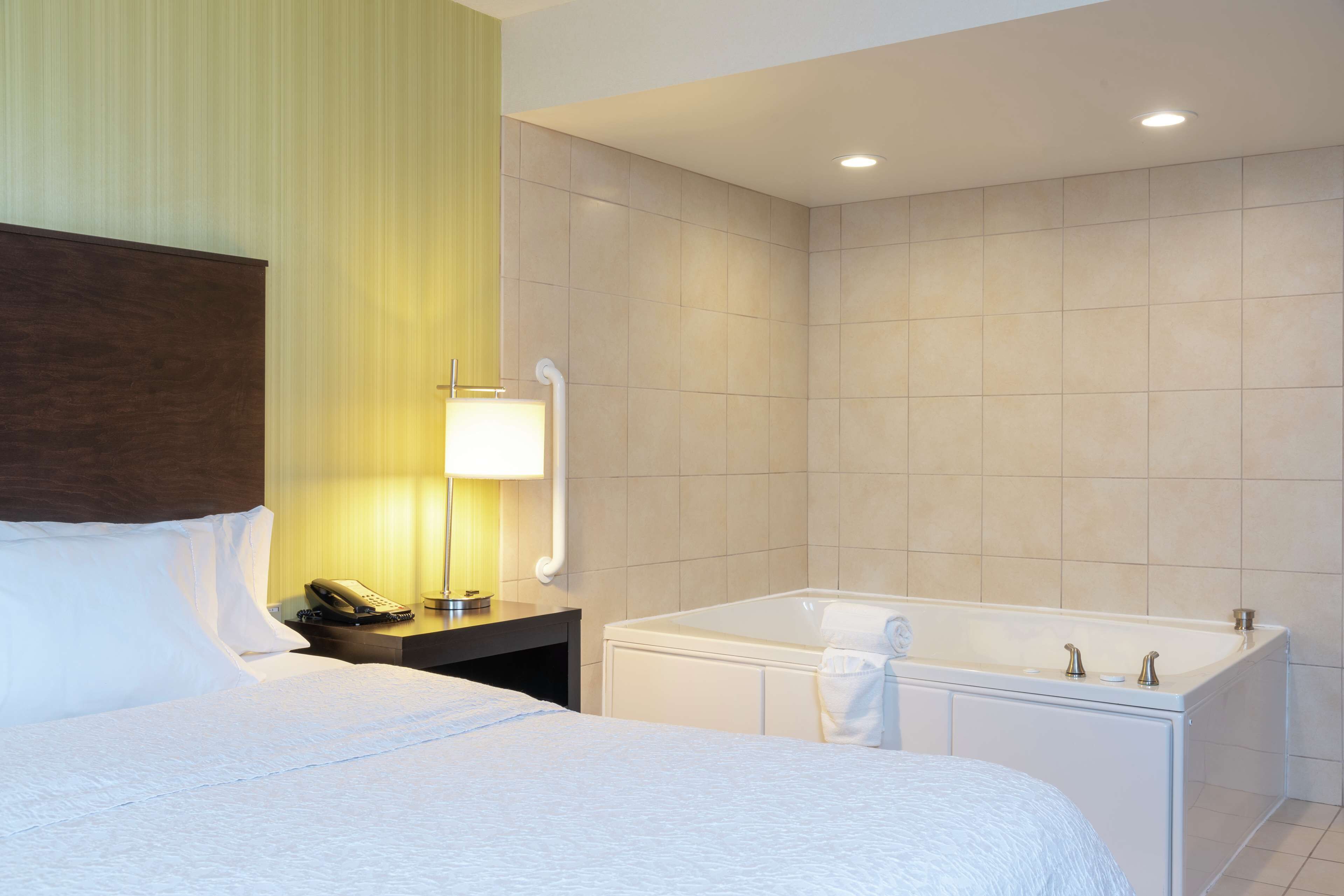 Hampton Inn & Suites Saginaw Hampton Inn & Suites Saginaw