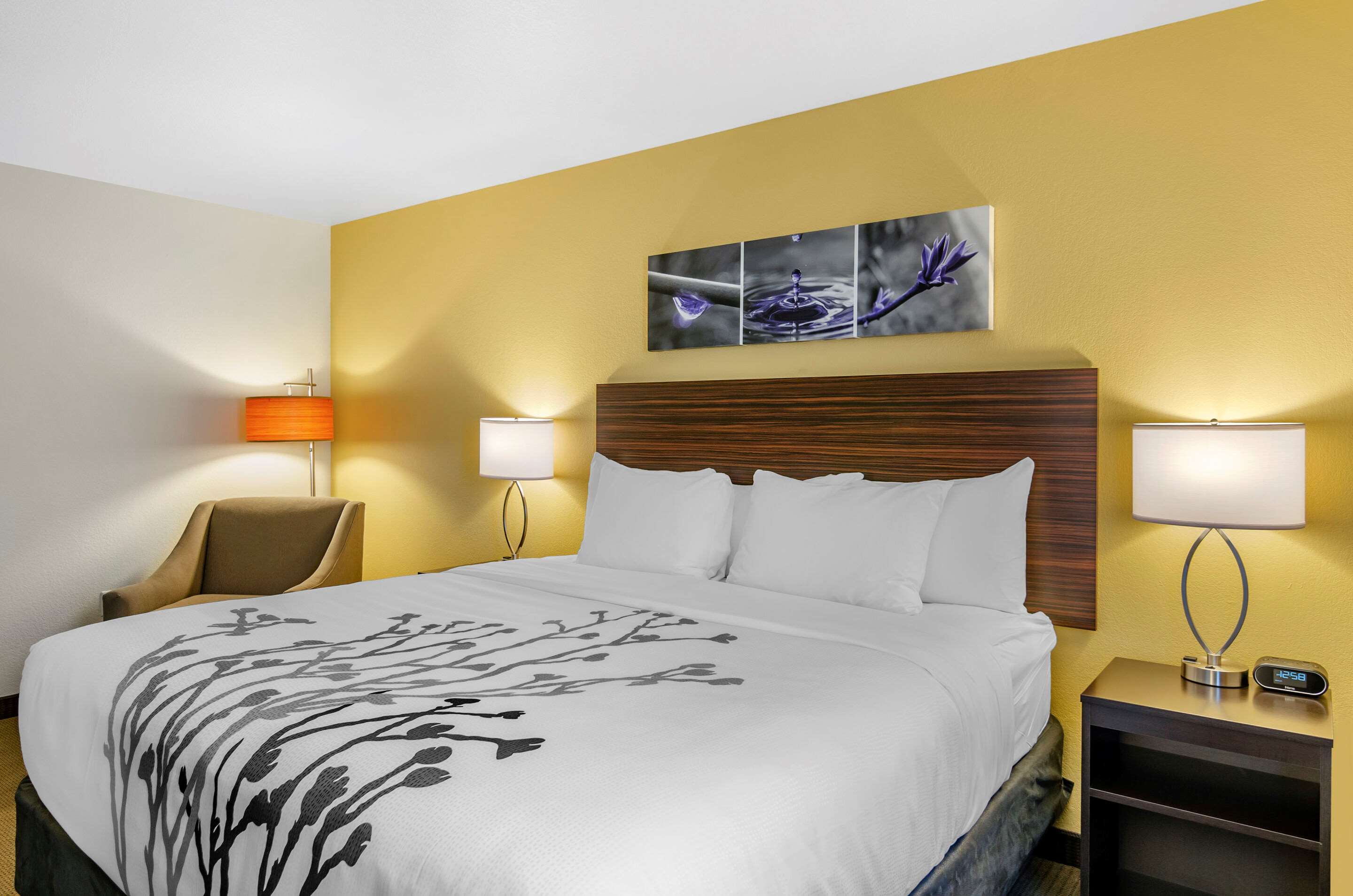 Sleep Inn & Suites Great Falls Airport