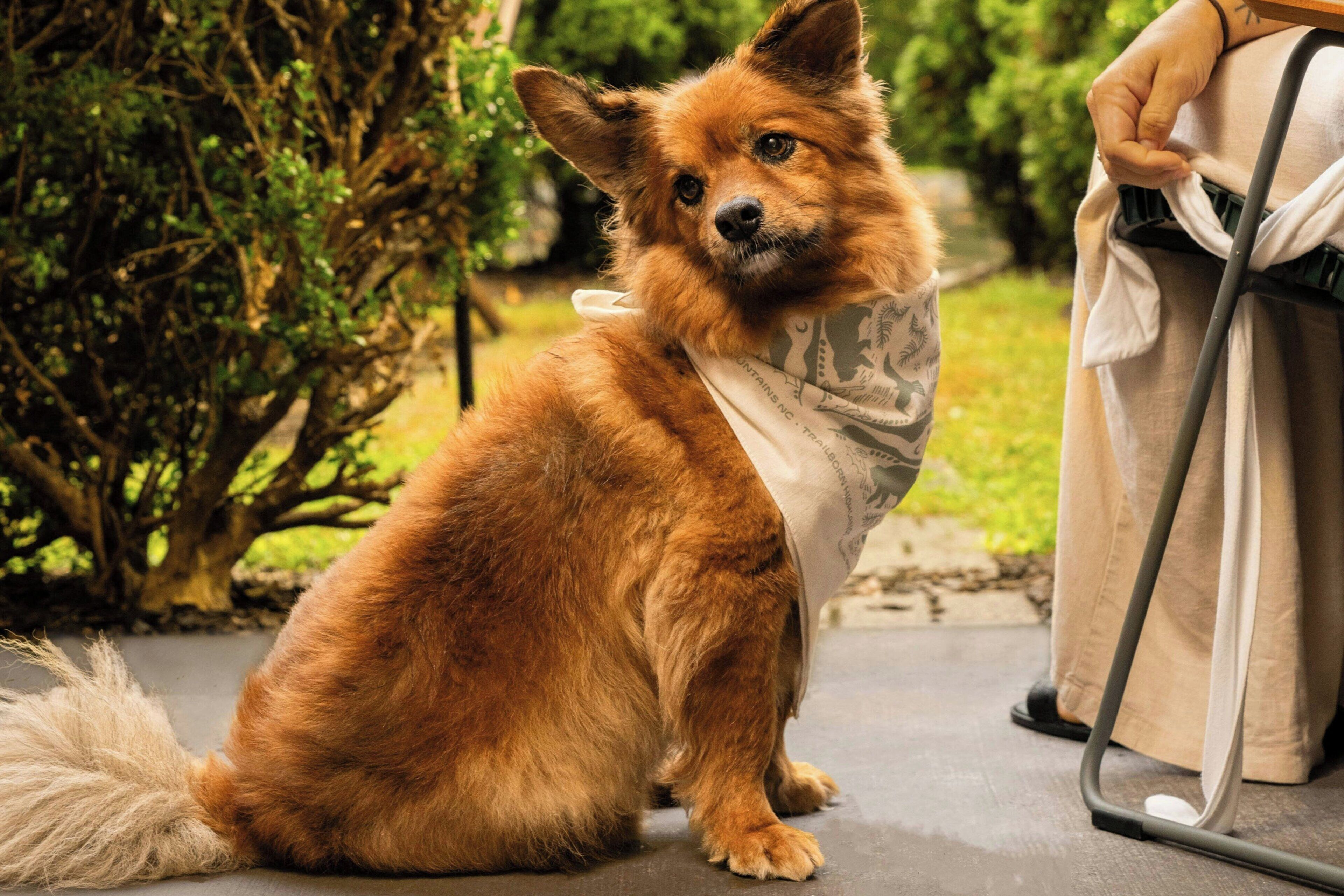 Trailborn Highlands, Outdoor Collection by Marriott Bonvoy