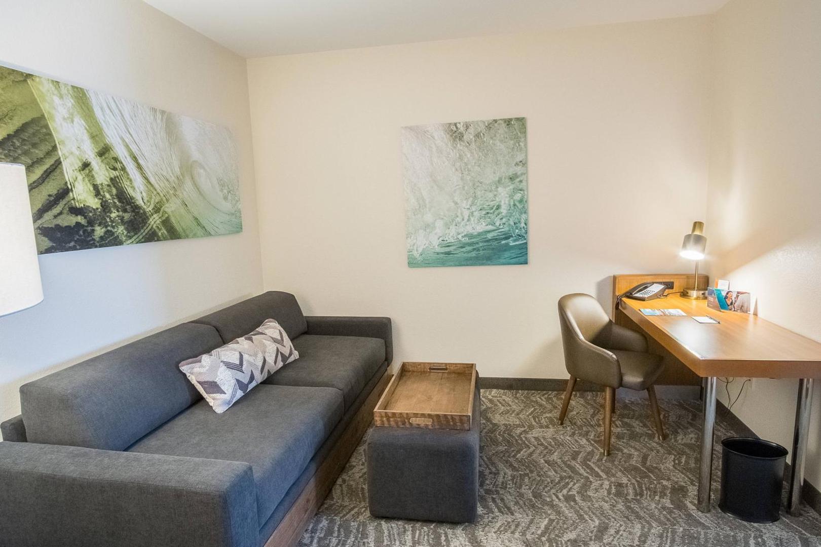 SpringHill Suites Winston-Salem Hanes Mall SpringHill Suites Winston-Salem Hanes Mall