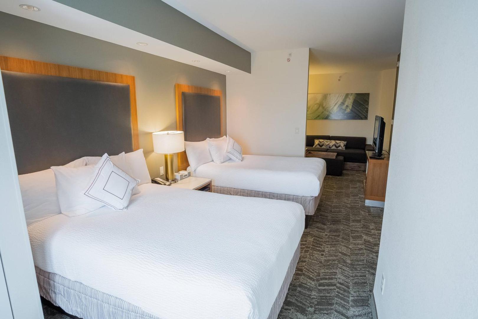 SpringHill Suites Winston-Salem Hanes Mall SpringHill Suites Winston-Salem Hanes Mall