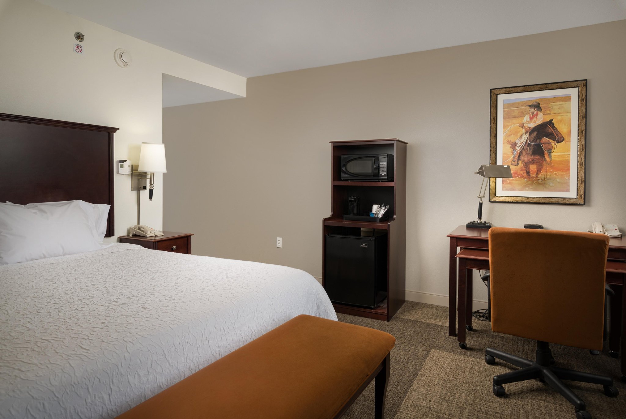 Hampton Inn & Suites Altus Hampton Inn & Suites Altus