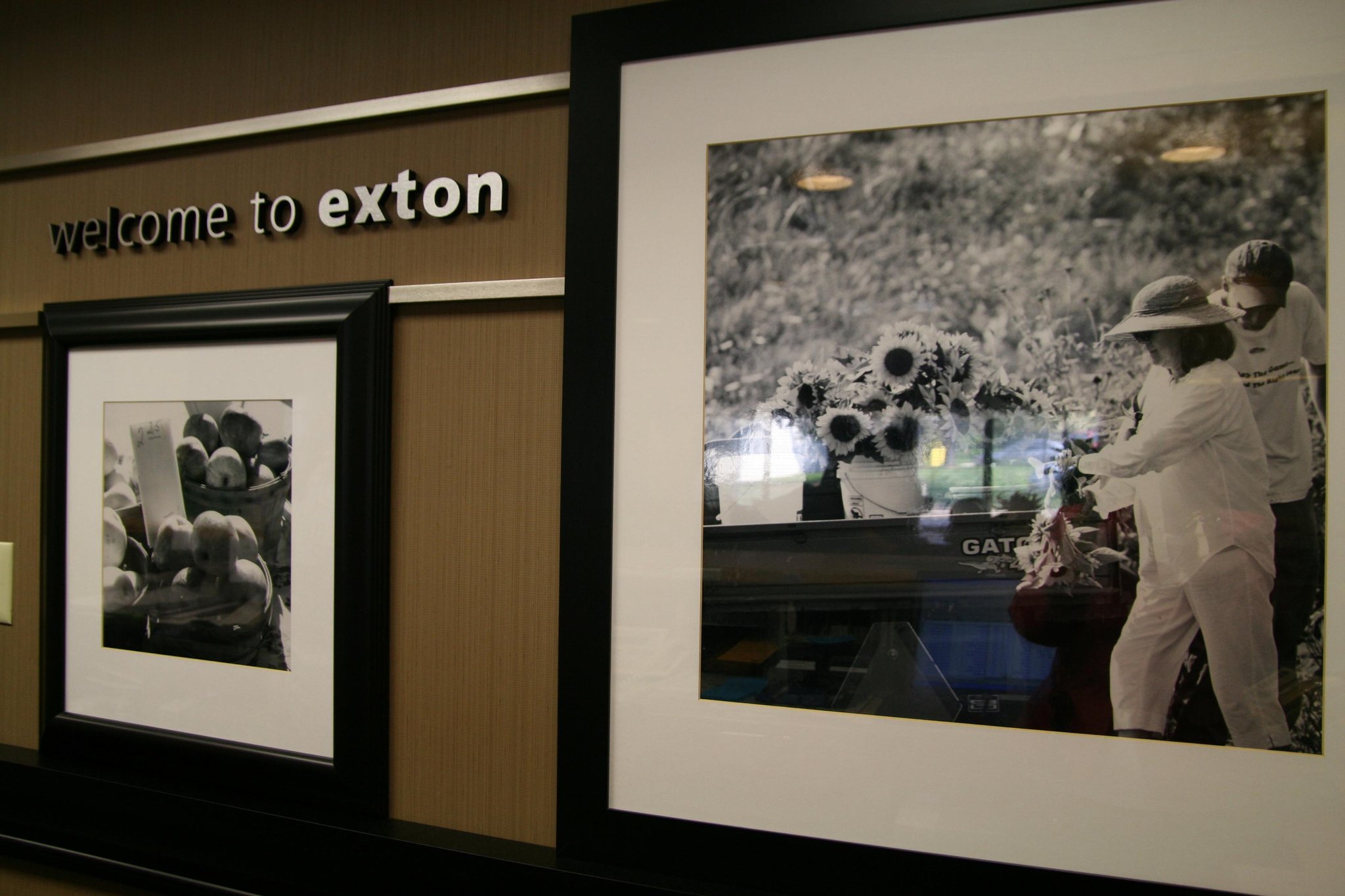 Hampton Inn Downingtown/Exton Hampton Inn Downingtown/Exton