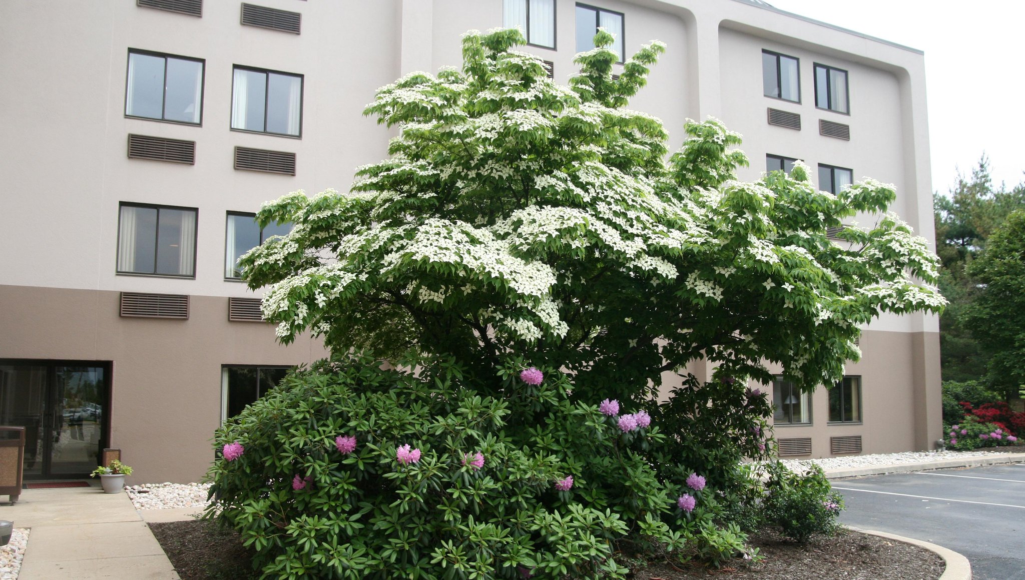 Hampton Inn Downingtown/Exton Hampton Inn Downingtown/Exton