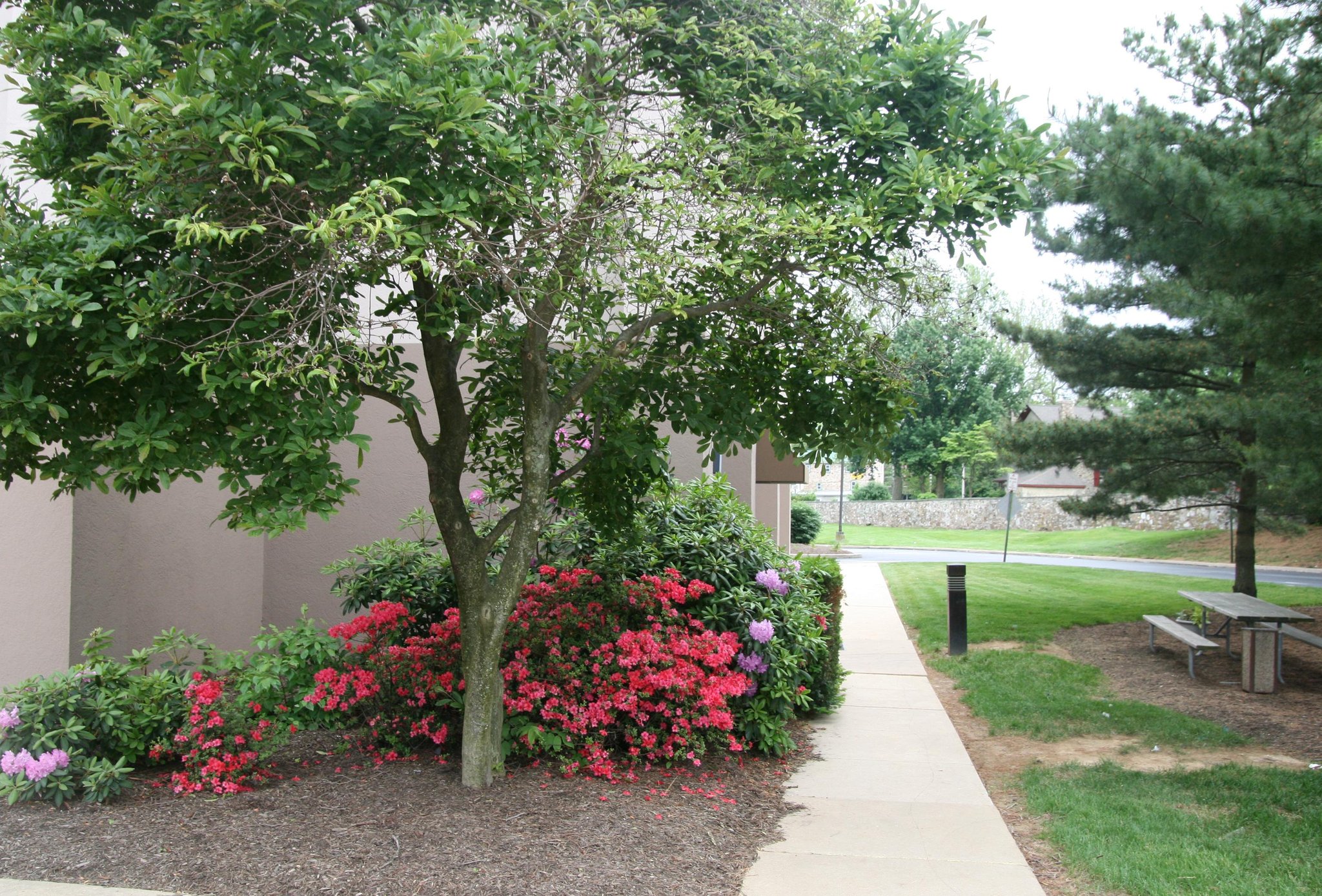 Hampton Inn Downingtown/Exton Hampton Inn Downingtown/Exton