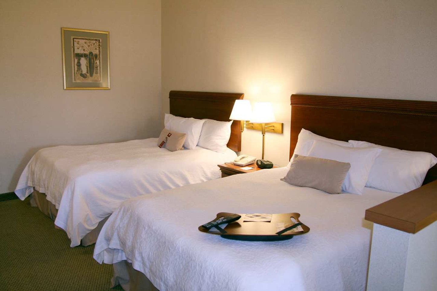 Hampton Inn Shrewsbury Hampton Inn Shrewsbury