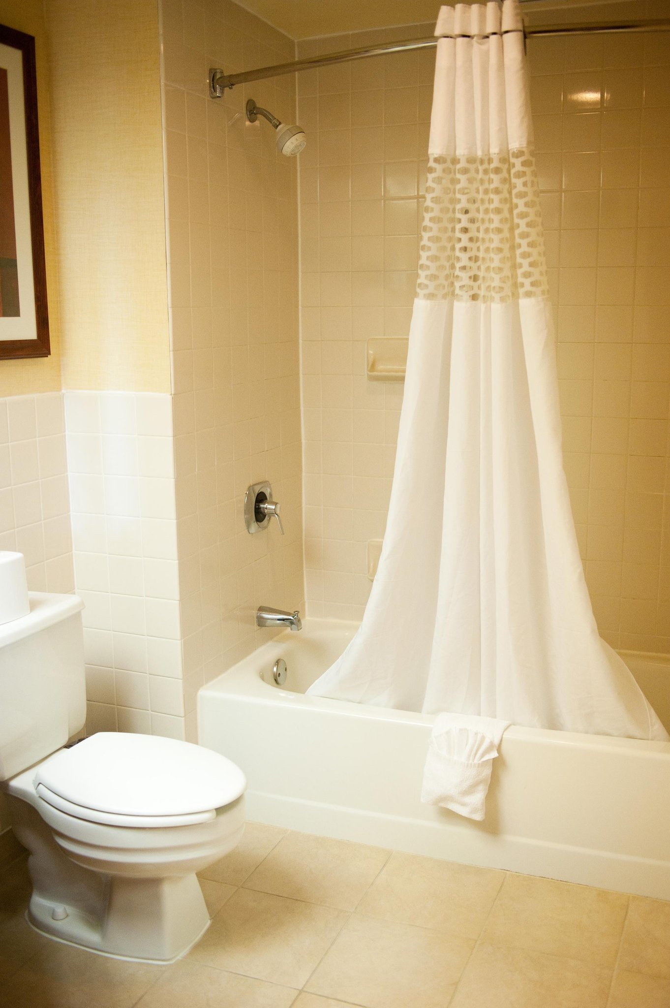 Hampton Inn Reading/Wyomissing Hampton Inn Reading/Wyomissing