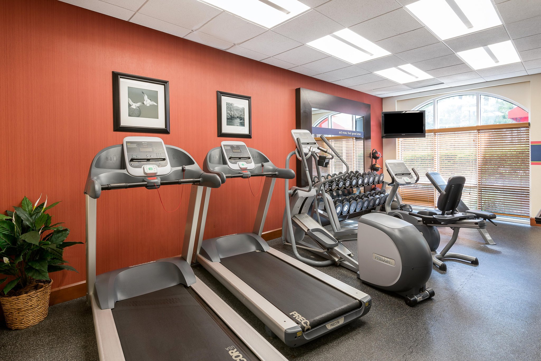 Hampton Inn Suites Florence-North-I-95 Hampton Inn Suites Florence-North-I-95