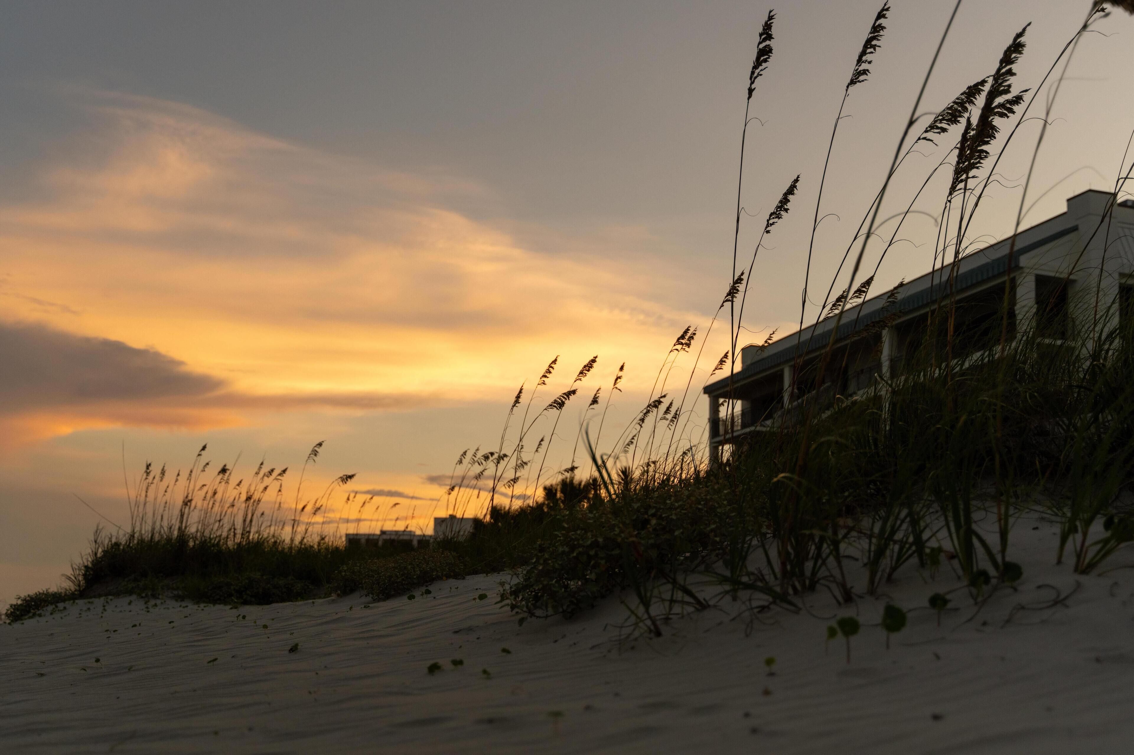 The Ellie Beach Resort Myrtle Beach