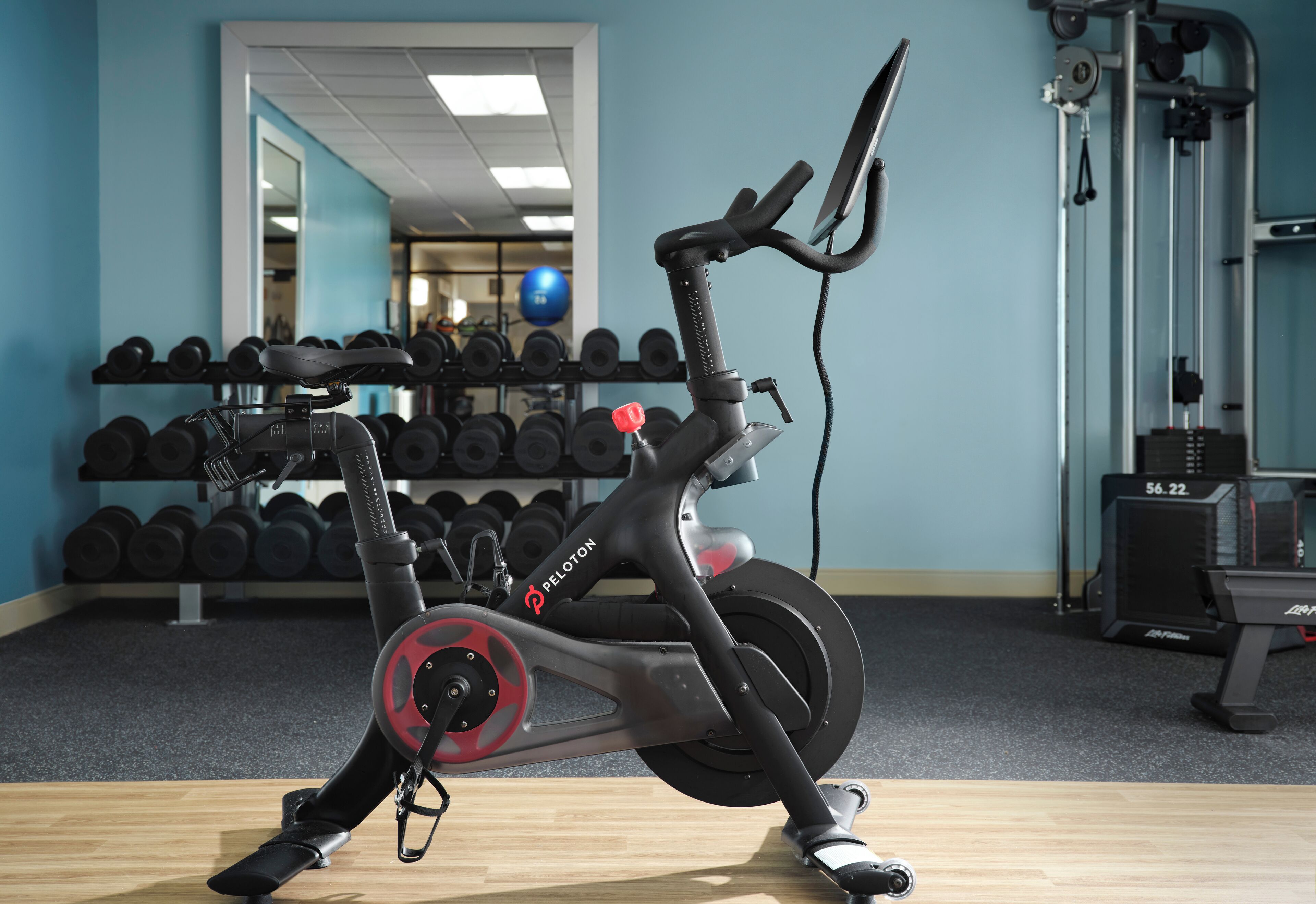 The Ellie Beach Resort Myrtle Beach