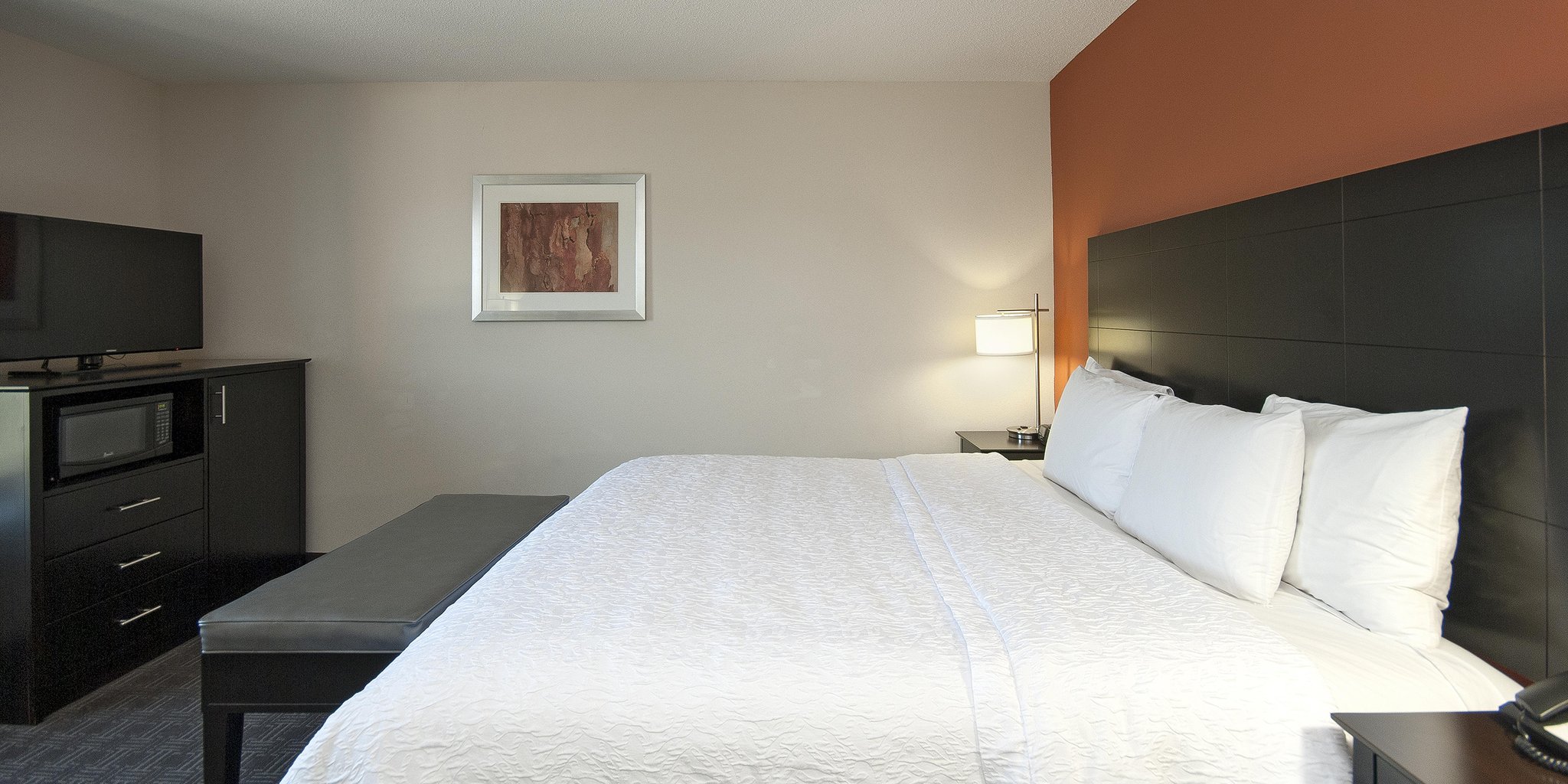 Hampton Inn & Suites Seneca-Clemson Area Hampton Inn & Suites Seneca-Clemson Area