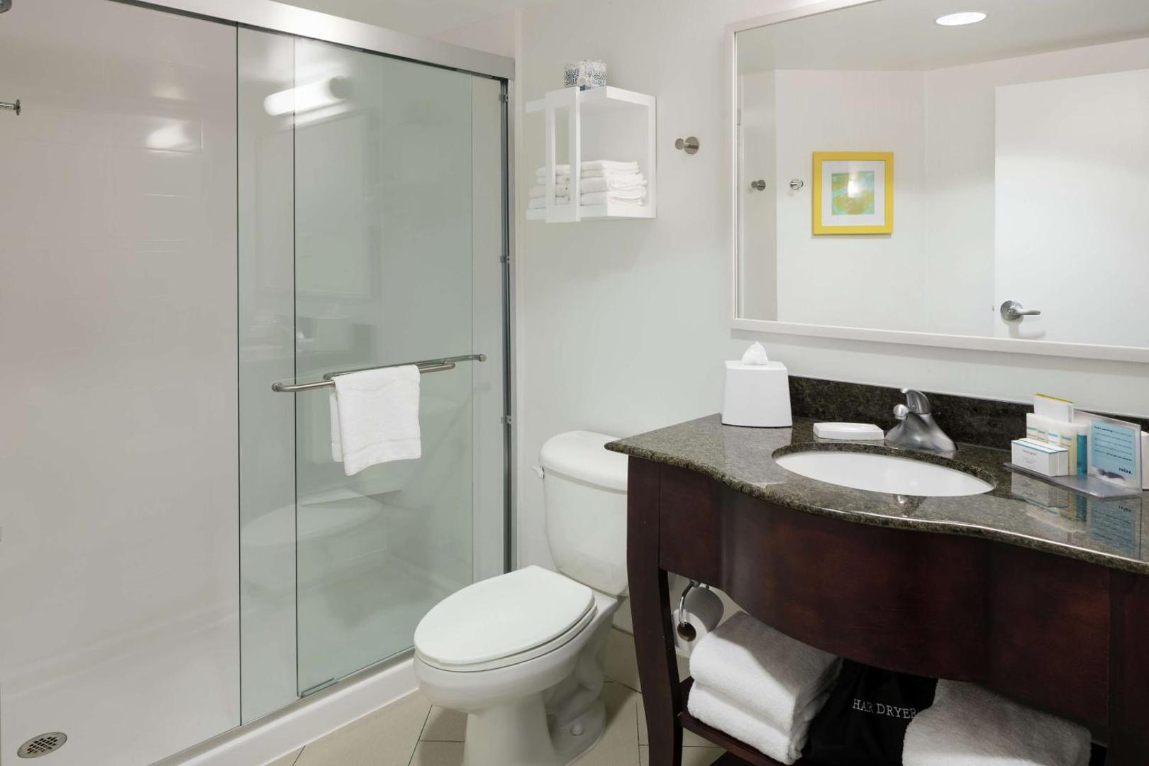 Hampton Inn & Suites Memphis-Beale Street Hampton Inn & Suites Memphis-Beale Street