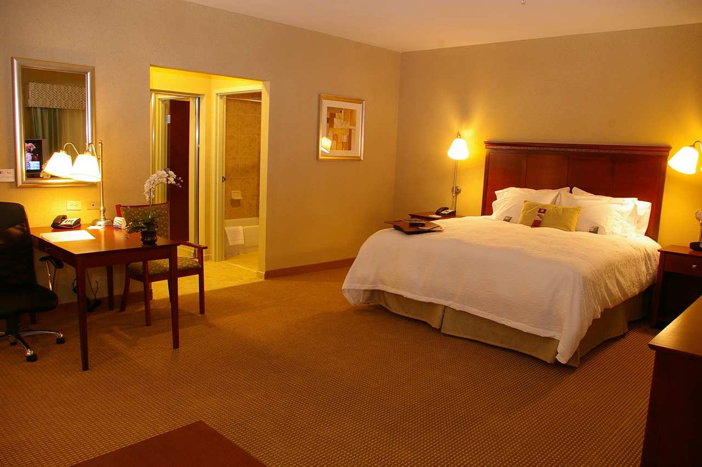 Hampton Inn & Suites Abilene I-20 Hampton Inn & Suites Abilene I-20