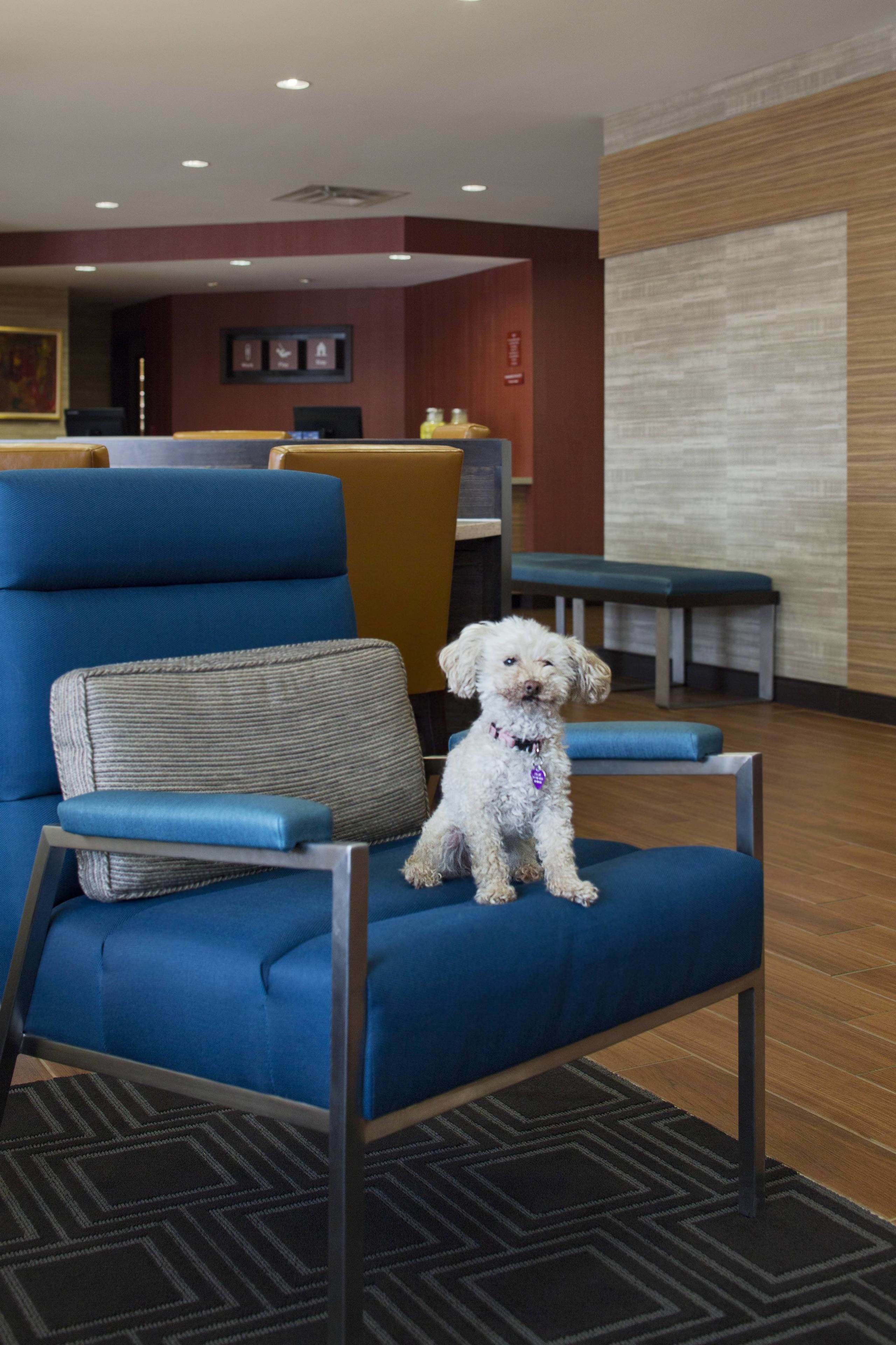 TownePlace Suites Austin Round Rock TownePlace Suites Austin Round Rock