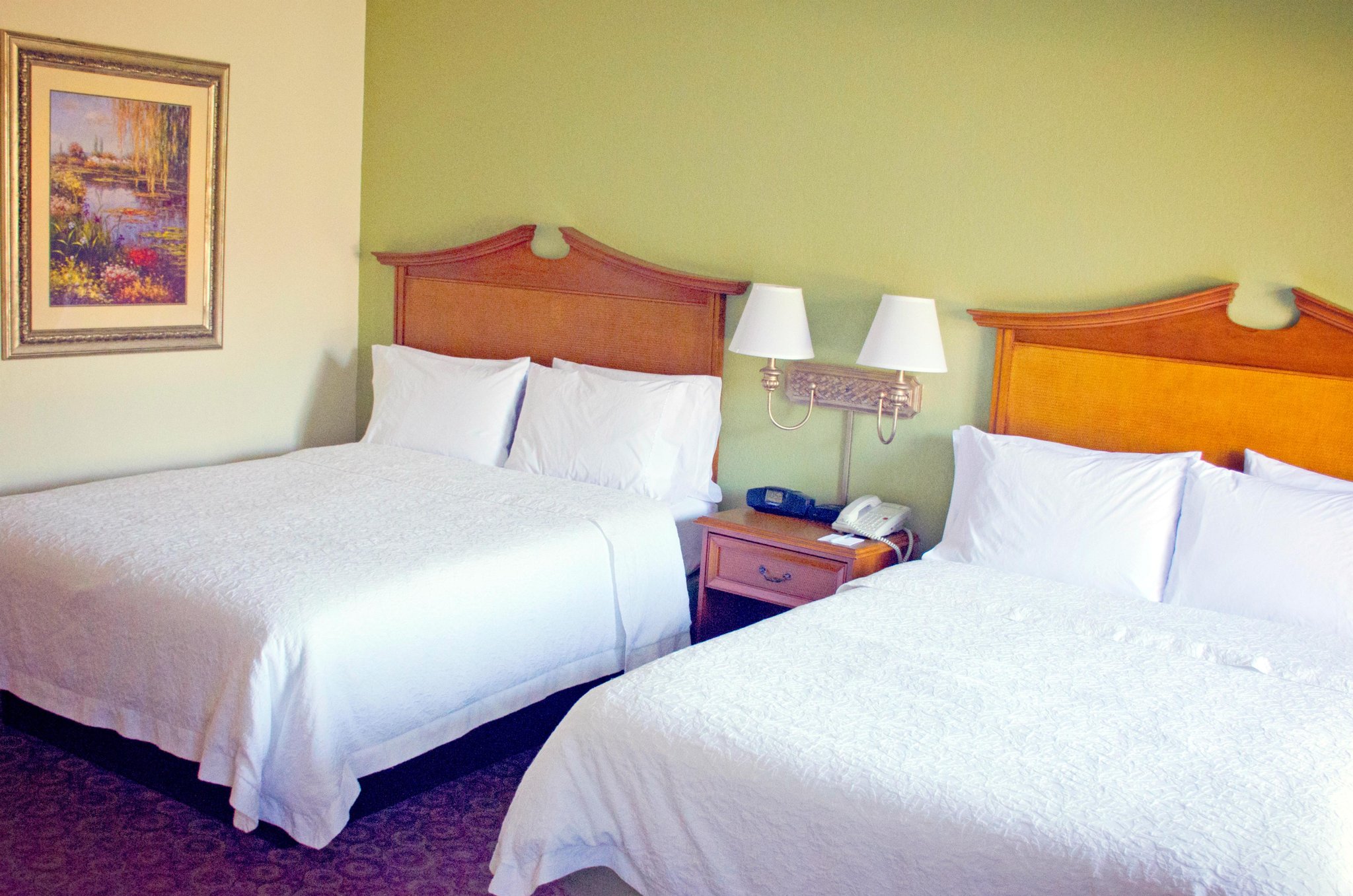 Hampton Inn & Suites College Station/US 6-East Bypass Hampton Inn & Suites College Station/US 6-East Bypass