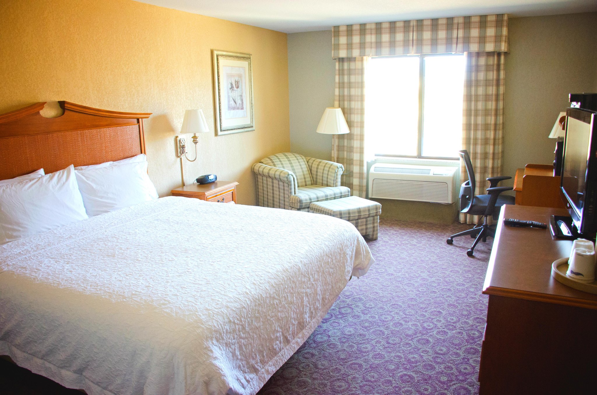 Hampton Inn & Suites College Station/US 6-East Bypass Hampton Inn & Suites College Station/US 6-East Bypass