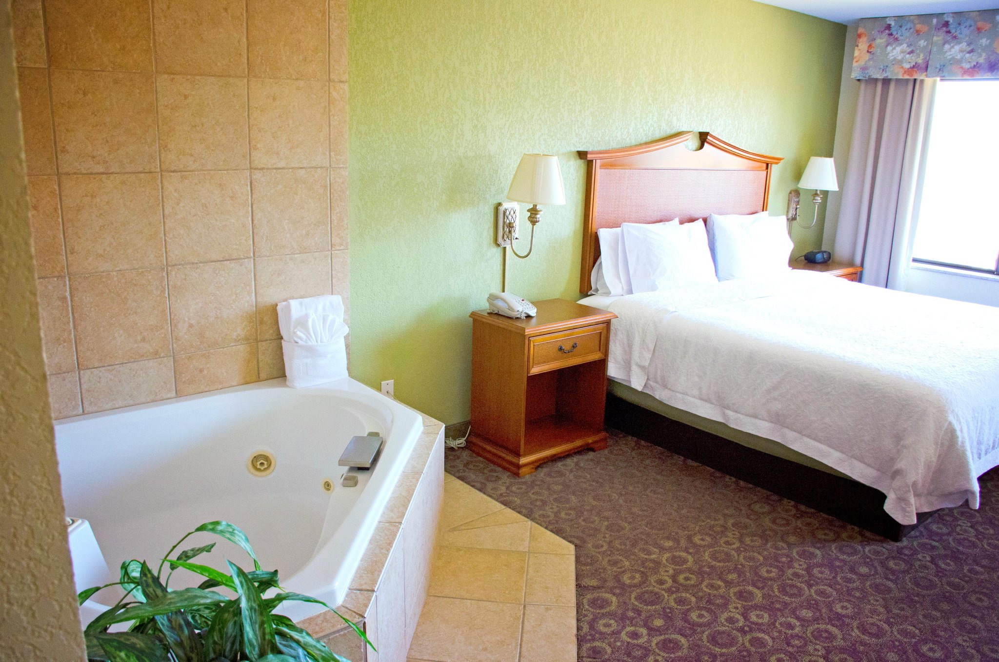 Hampton Inn & Suites College Station/US 6-East Bypass Hampton Inn & Suites College Station/US 6-East Bypass
