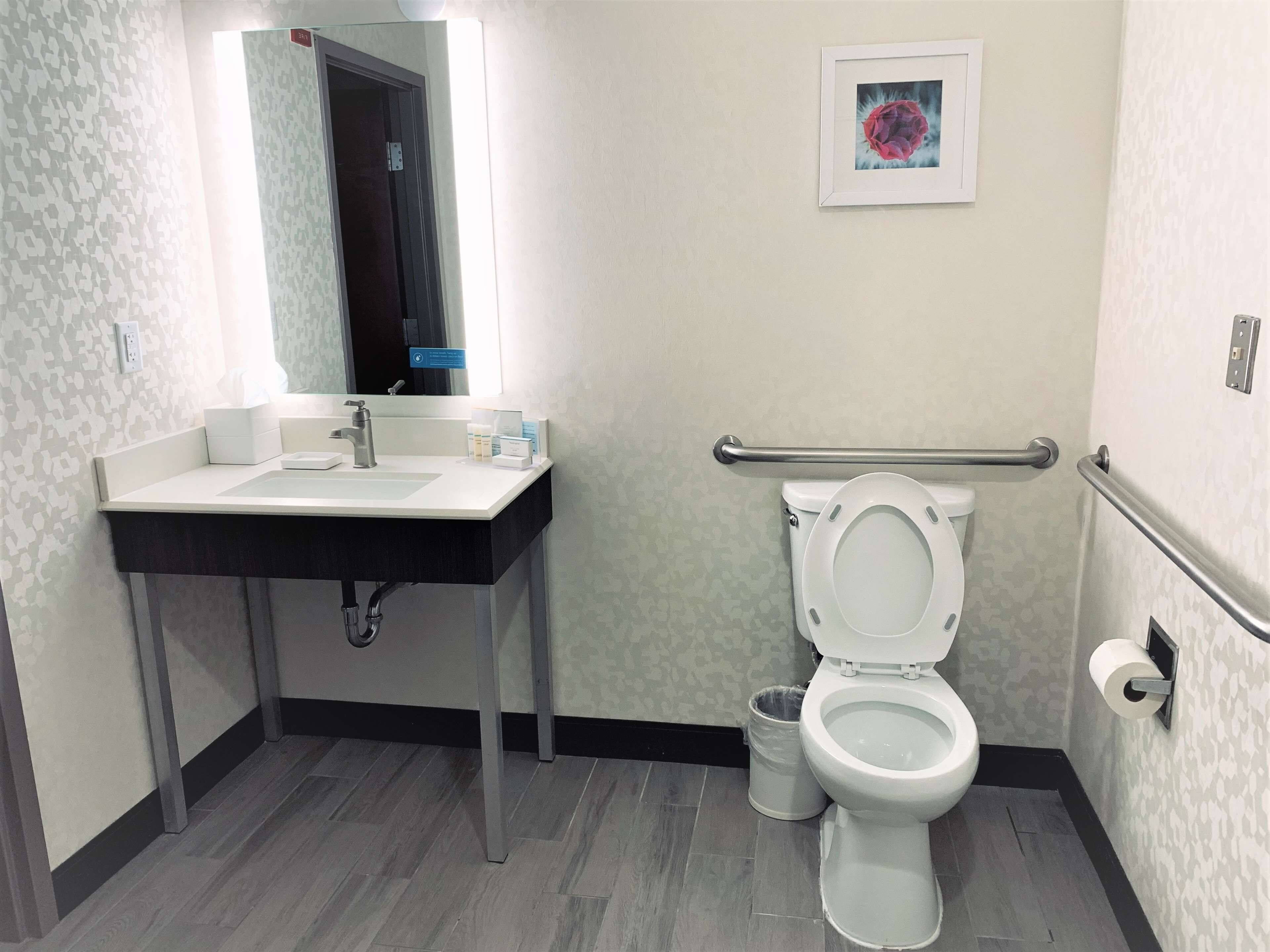 Hampton Inn Fort Stockton Hampton Inn Fort Stockton