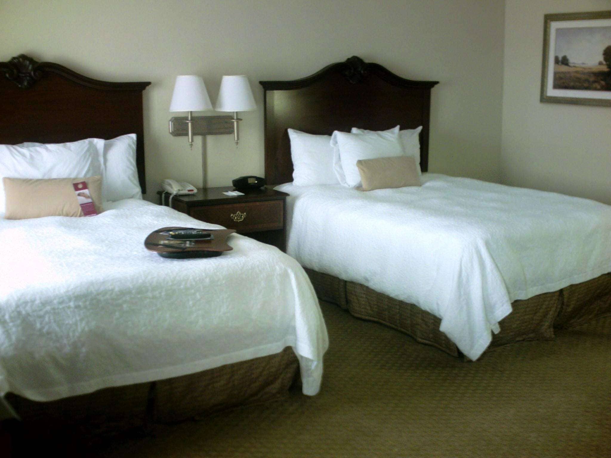 Hampton Inn Fort Stockton Hampton Inn Fort Stockton