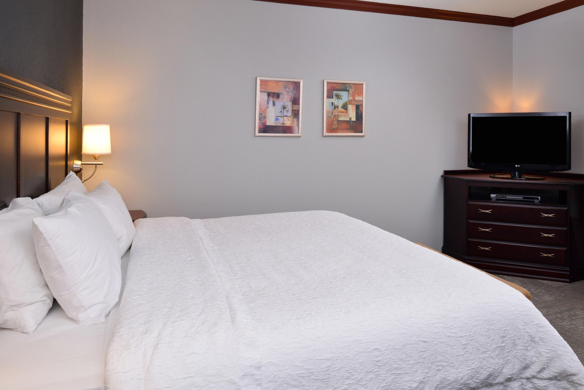 Hampton Inn & Suites Greenville Hampton Inn & Suites Greenville