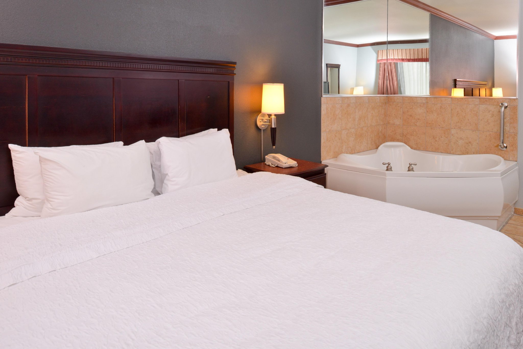 Hampton Inn & Suites Greenville Hampton Inn & Suites Greenville