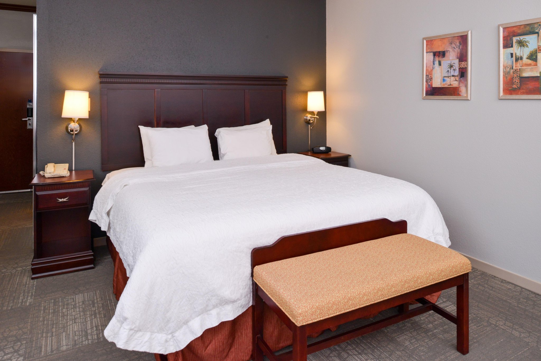 Hampton Inn & Suites Greenville Hampton Inn & Suites Greenville