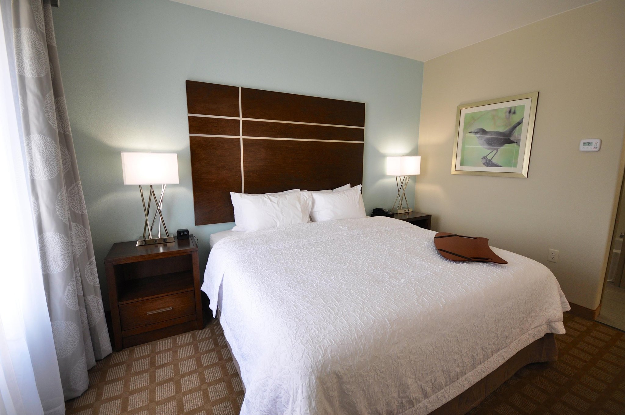 Hampton Inn & Suites Hutto Hampton Inn & Suites Hutto