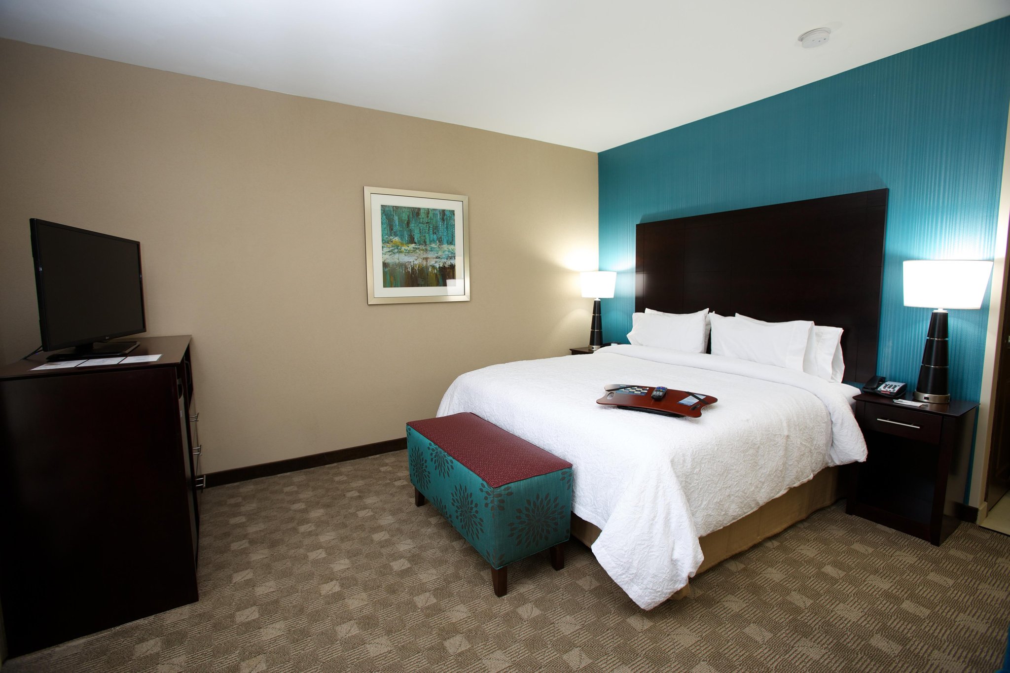Hampton Inn & Suites Missouri City Hampton Inn & Suites Missouri City