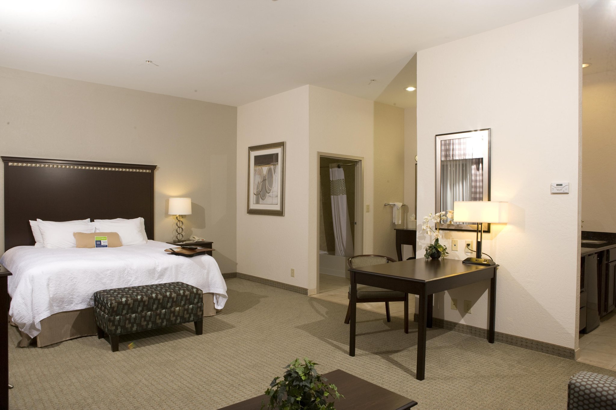 Hampton Inn & Suites Mount Pleasant Hampton Inn & Suites Mount Pleasant