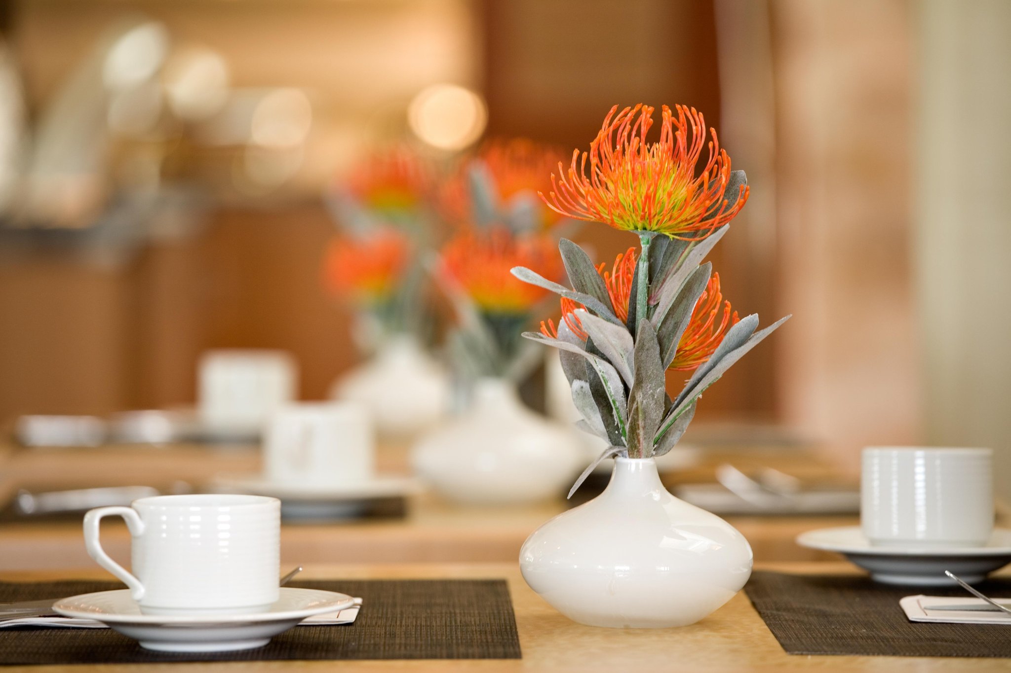 Hilton Garden Inn Dallas Richardson Hilton Garden Inn Dallas Richardson