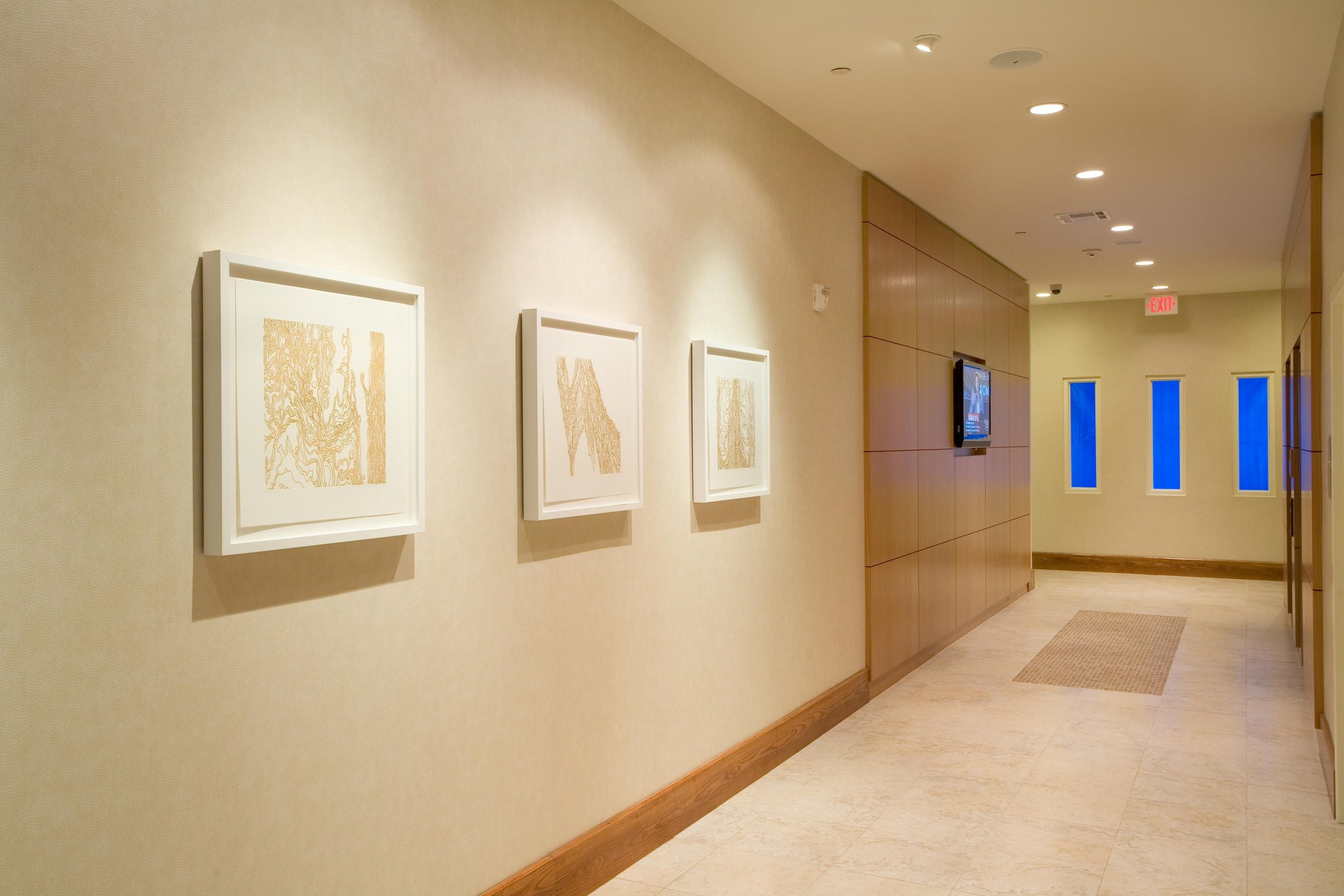 Hilton Garden Inn Dallas Richardson Hilton Garden Inn Dallas Richardson