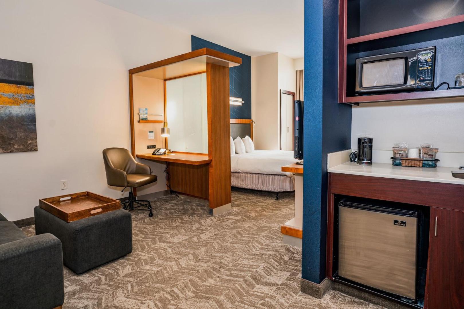 SpringHill Suites San Antonio Downtown/Alamo Plaza SpringHill Suites San Antonio Downtown/Alamo Plaza